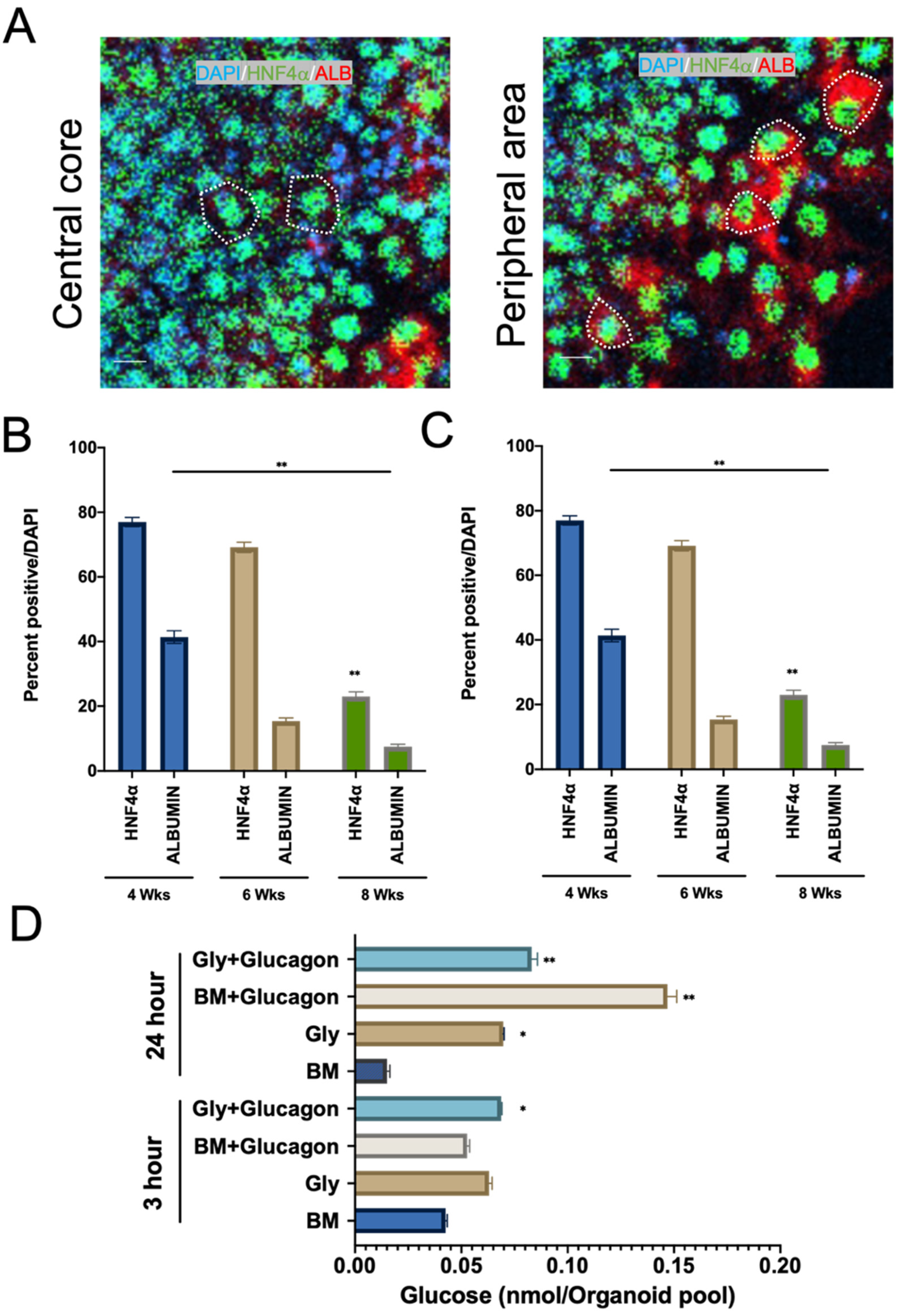 Cells 10 03280 g006 Cells 10 03280 g006