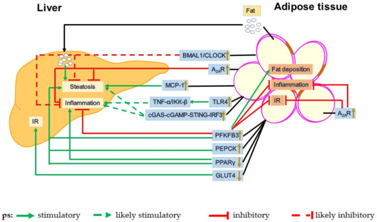 https://www.mdpi.com/cells/cells-10-03300/article_deploy/html/images/cells-10-03300-g001-550.jpg