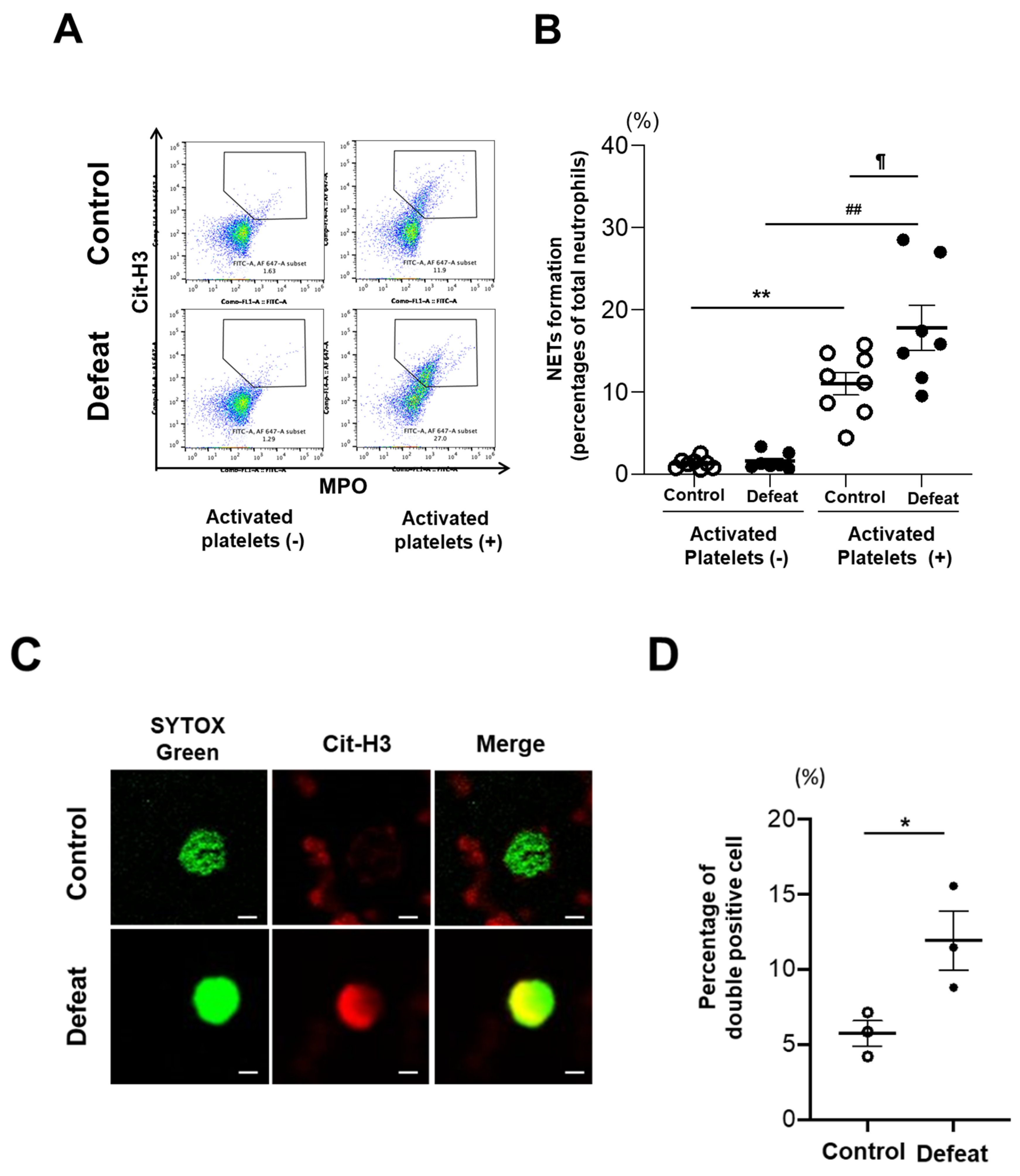 Cells 10 03344 g006