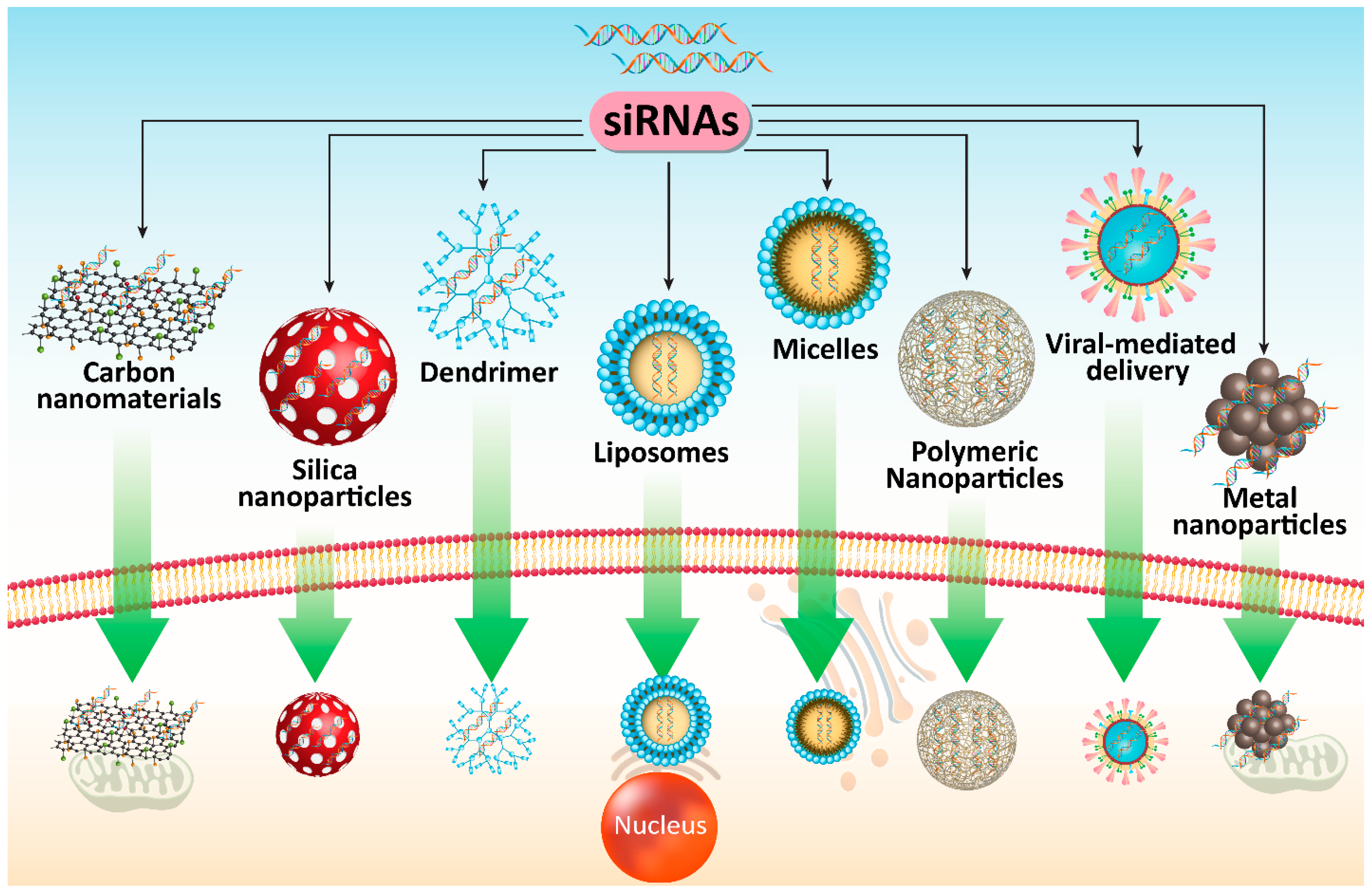 Cells Free Full Text Pre Clinical And Clinical Applications Of Small Interfering Rnas Sirna And Co Delivery Systems For Pancreatic Cancer Therapy Html