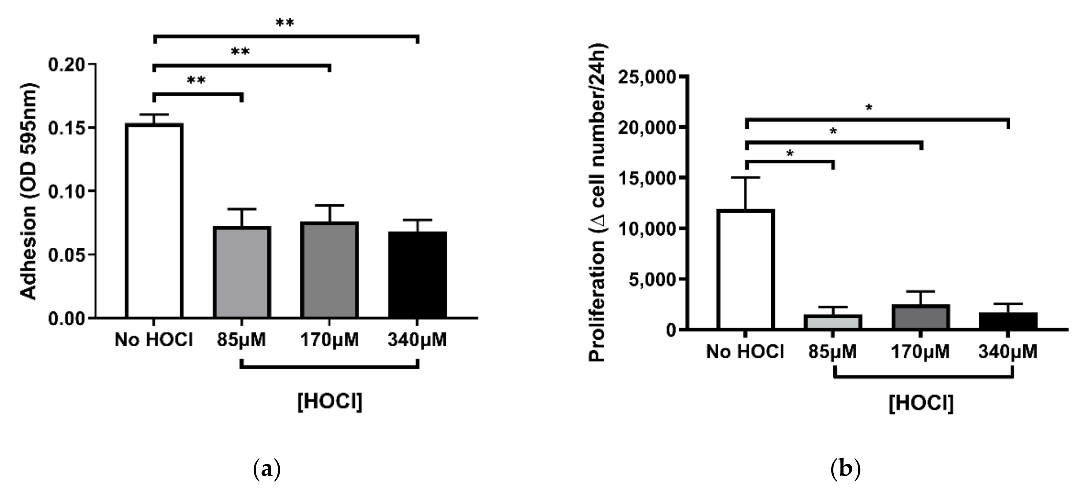 Cells 10 03351 g002 Cells 10 03351 g002
