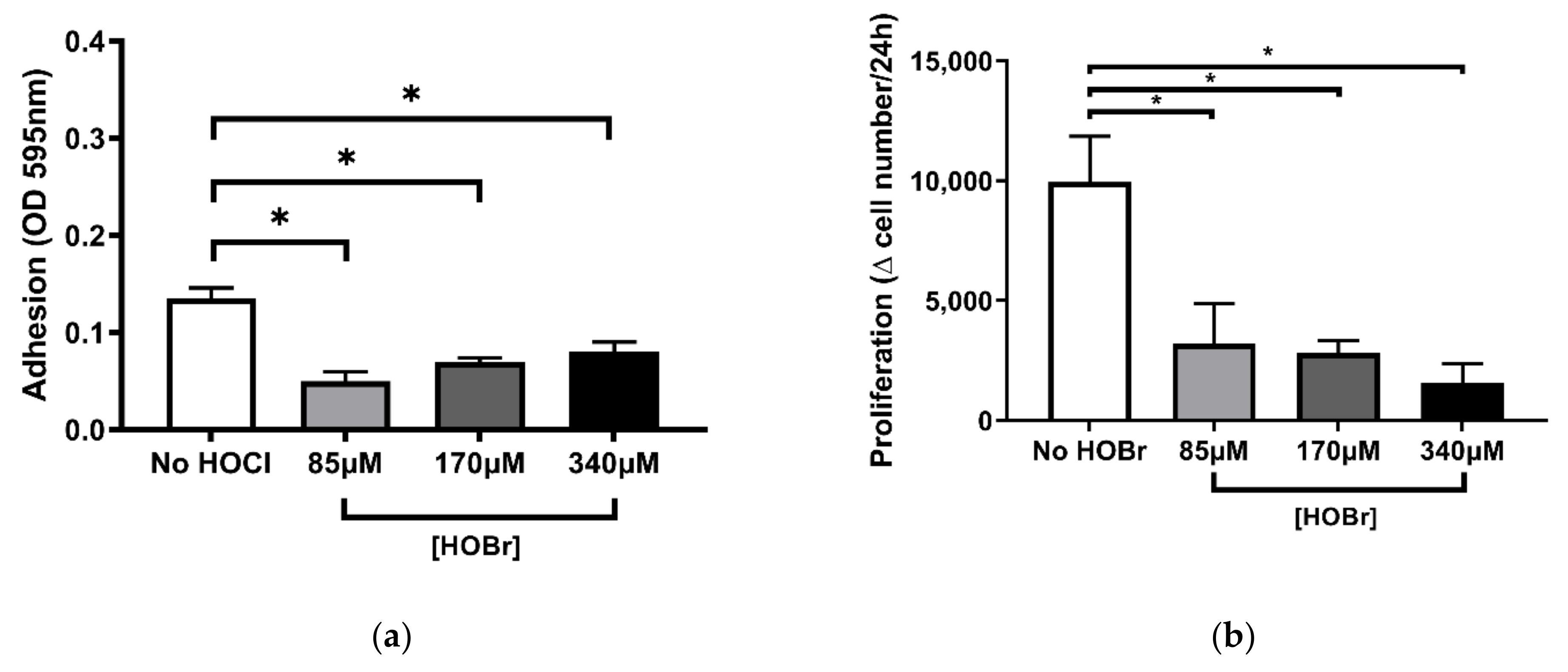 Cells 10 03351 g004 Cells 10 03351 g004