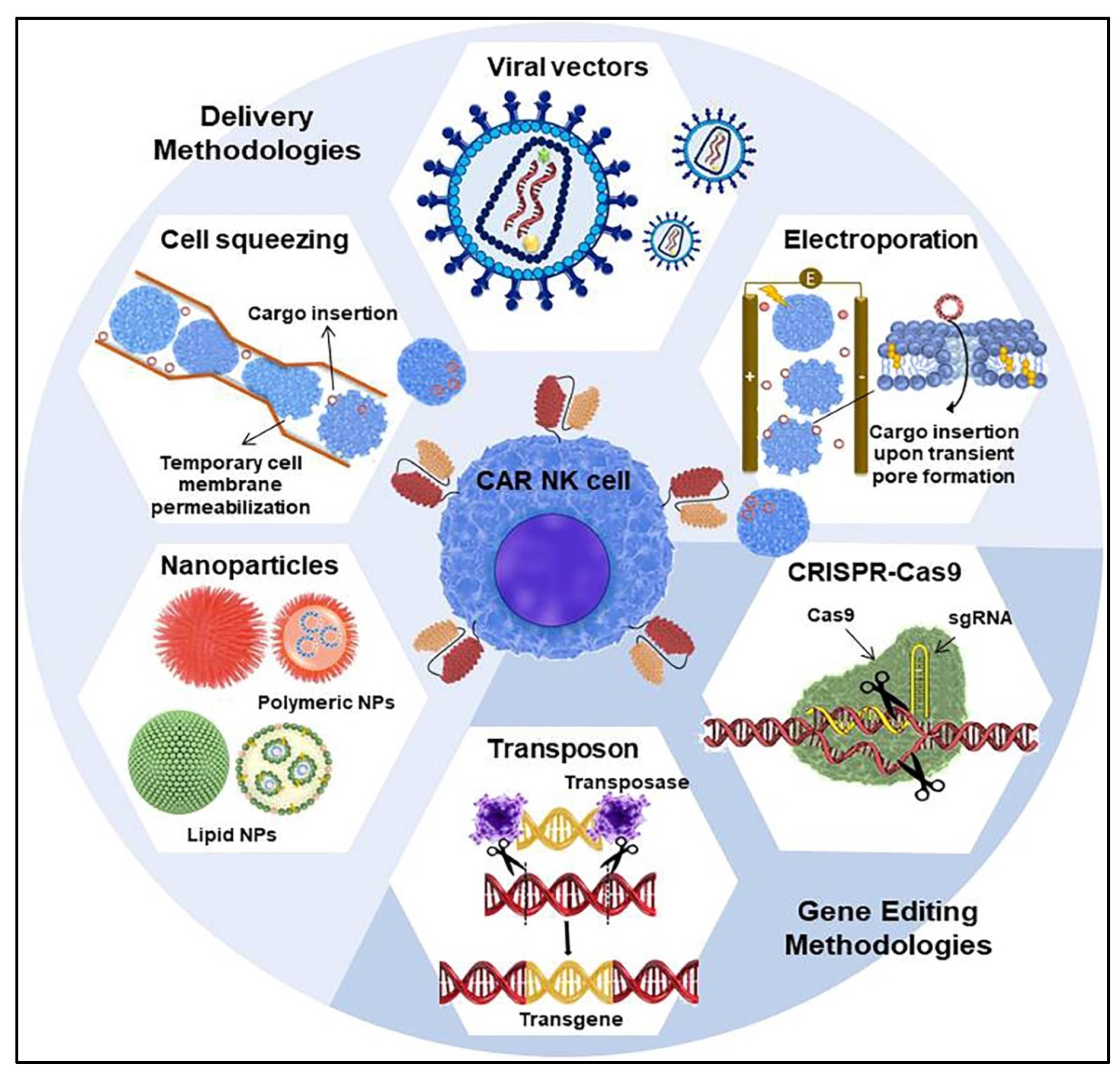 Cells 10 03390 g002 Cells 10 03390 g002