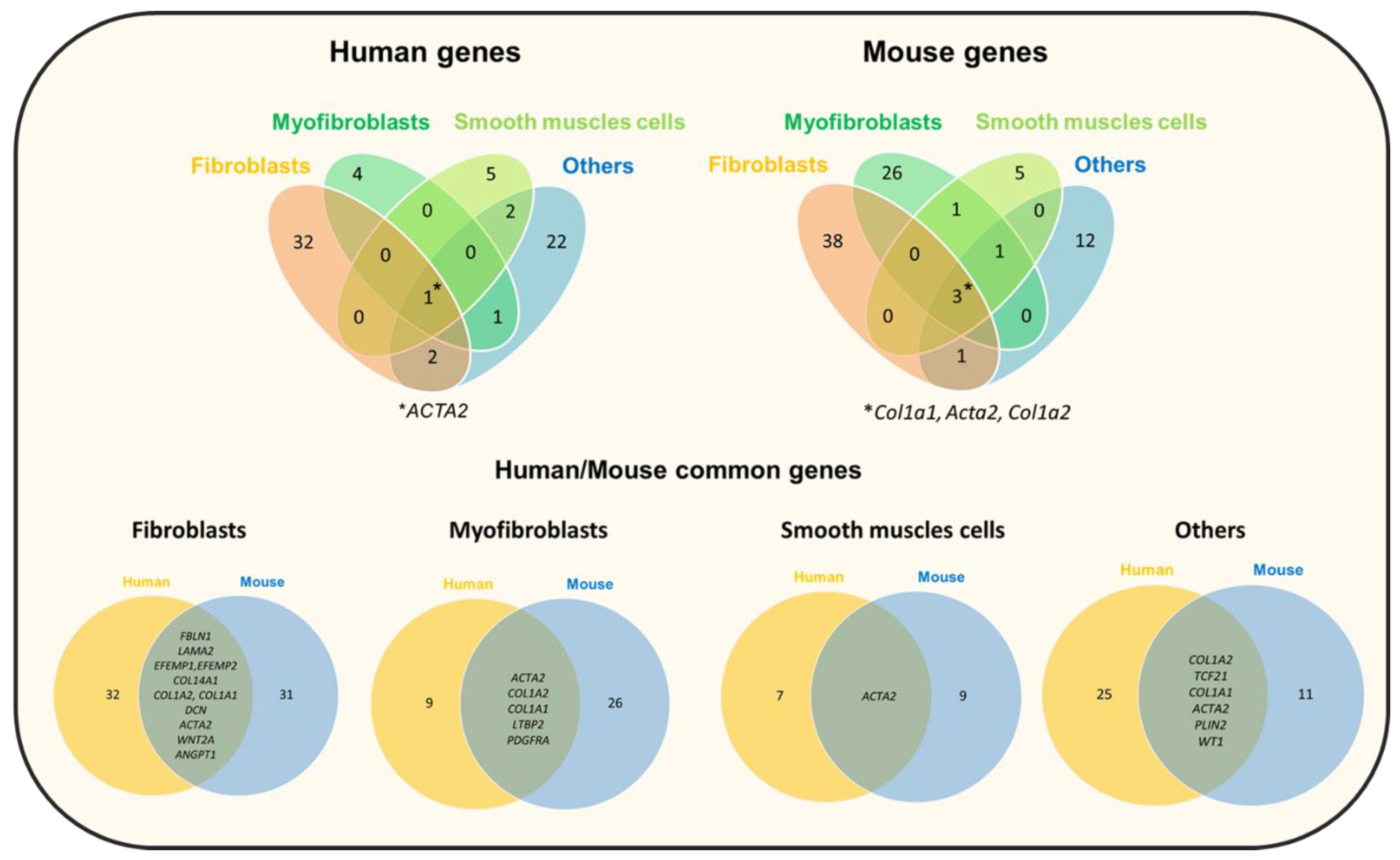 Cells 10 03467 g004 Cells 10 03467 g004