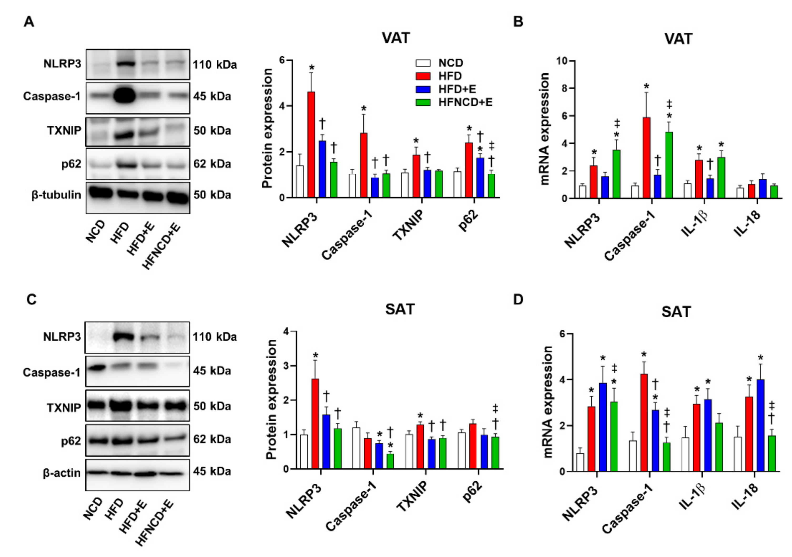 Cells 10 03480 g004