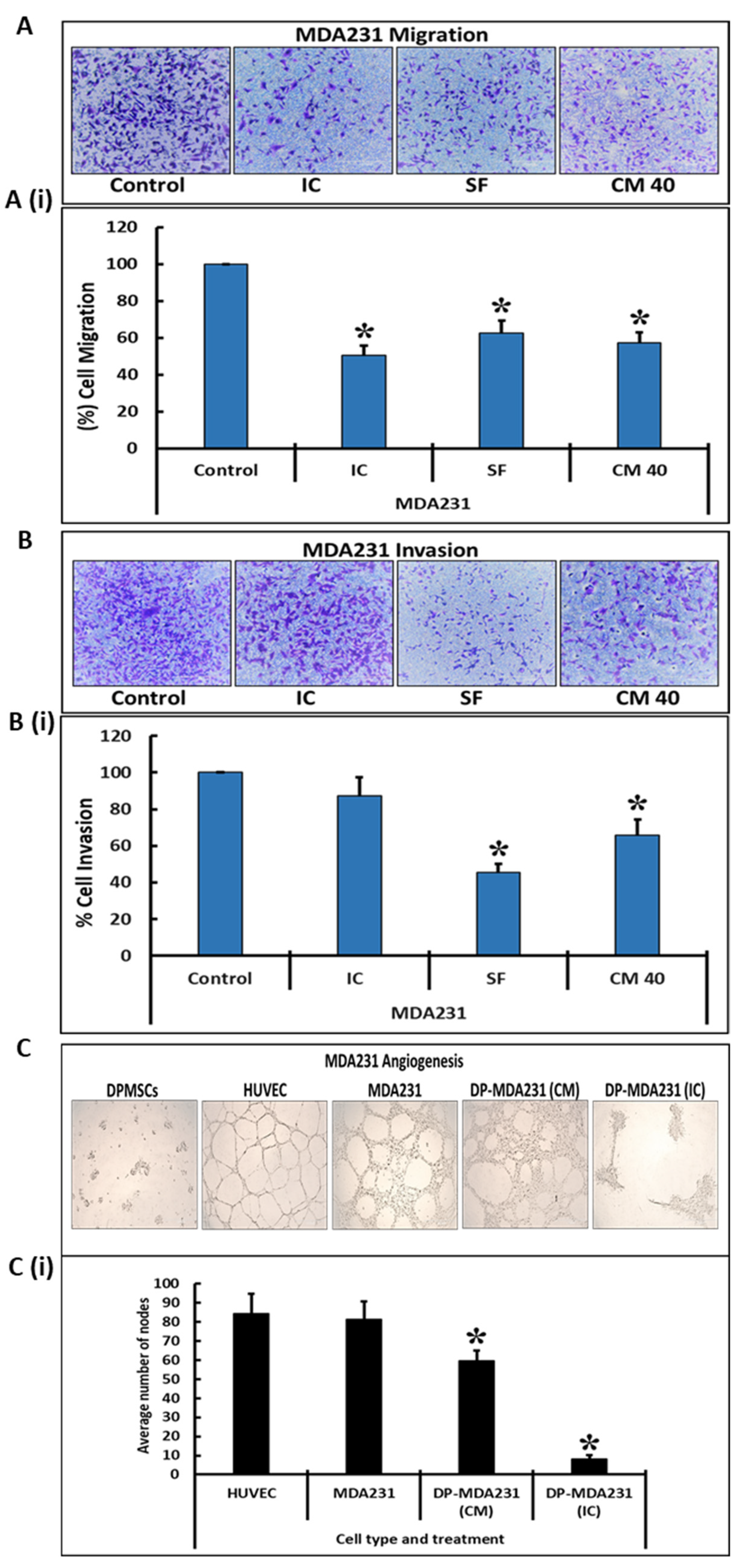 Cells 10 03493 g003 Cells 10 03493 g003
