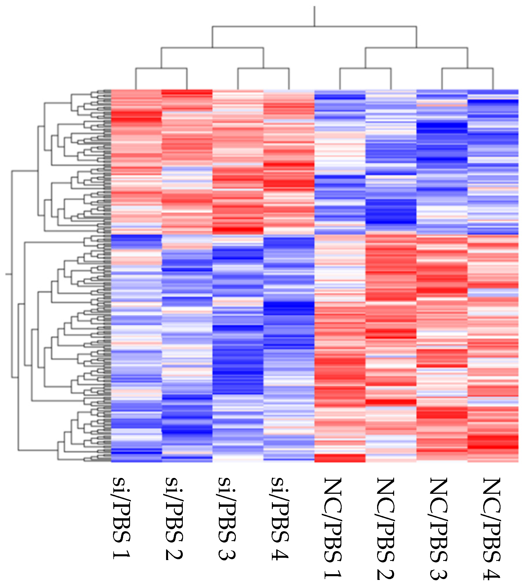 Cells 10 03508 g002 Cells 10 03508 g002