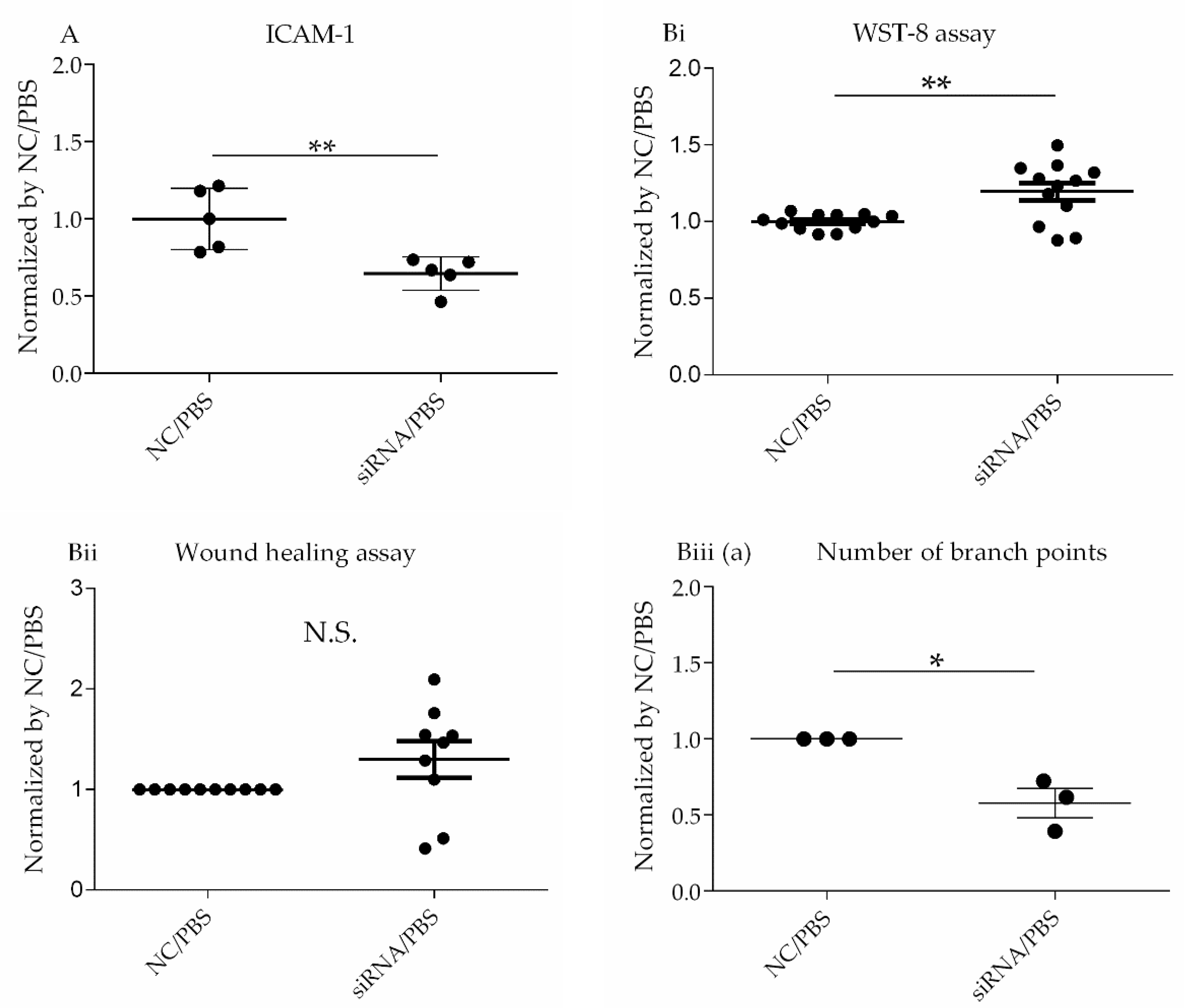 Cells 10 03508 g003a Cells 10 03508 g003a