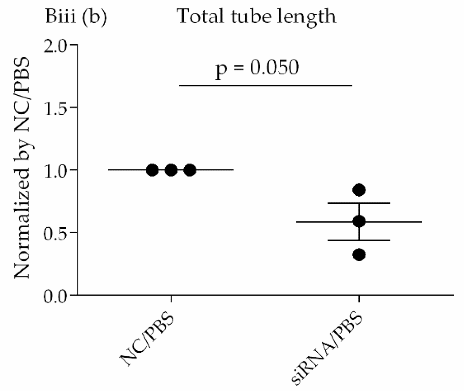 Cells 10 03508 g003b Cells 10 03508 g003b