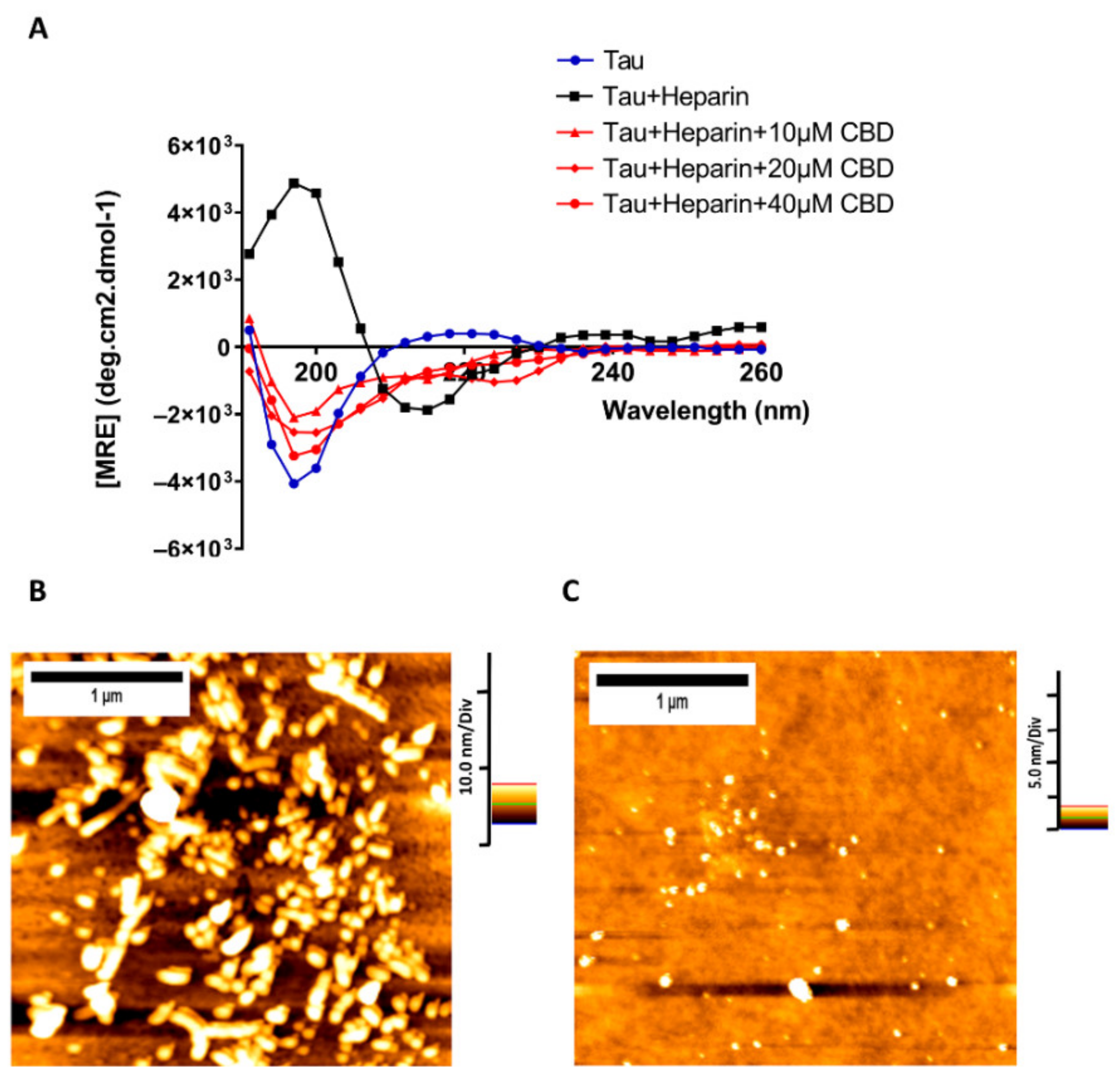 Cells 10 03521 g003
