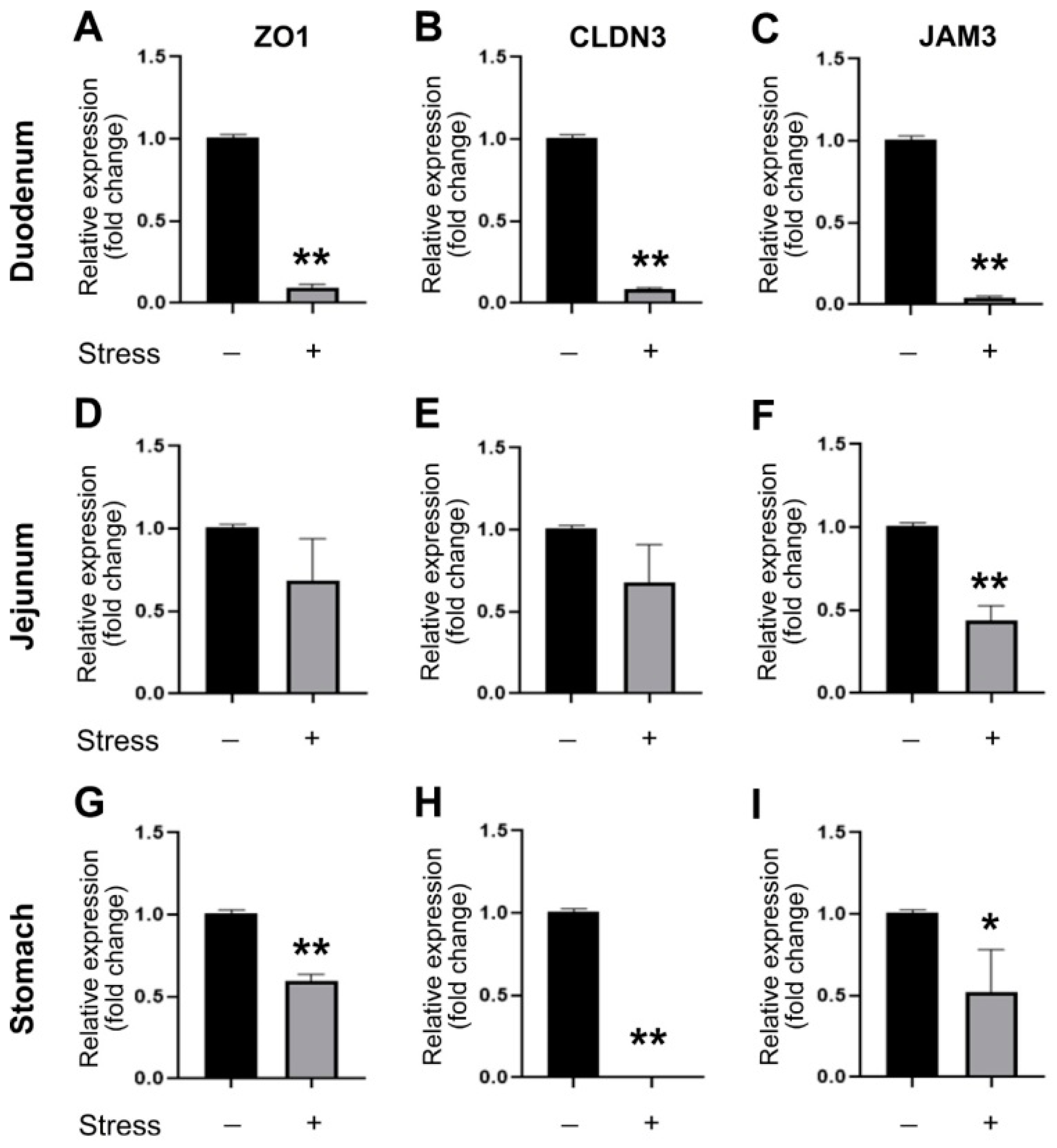 Cells 10 03530 g002 Cells 10 03530 g002