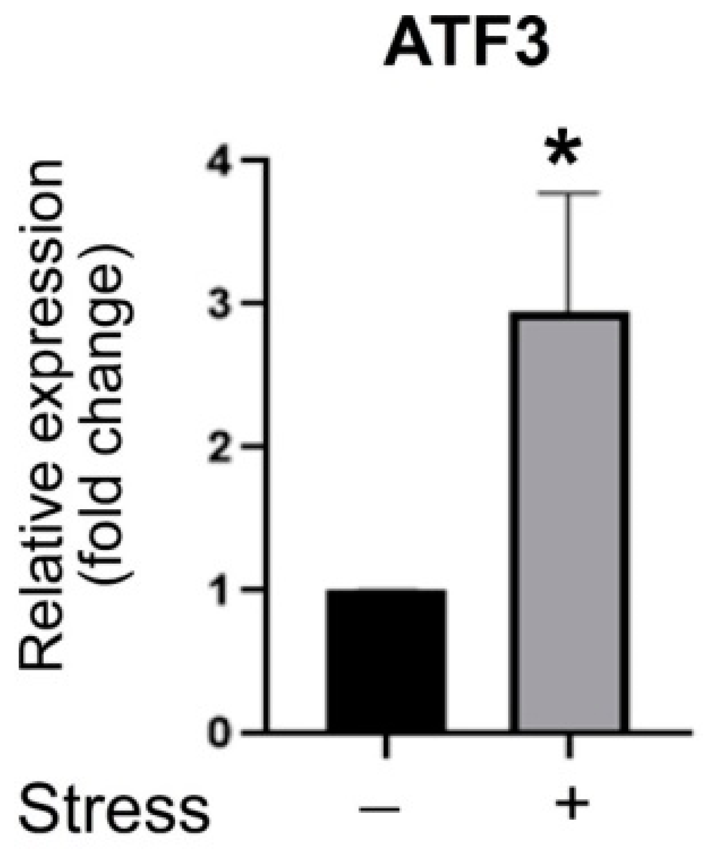 Cells 10 03530 g004 Cells 10 03530 g004