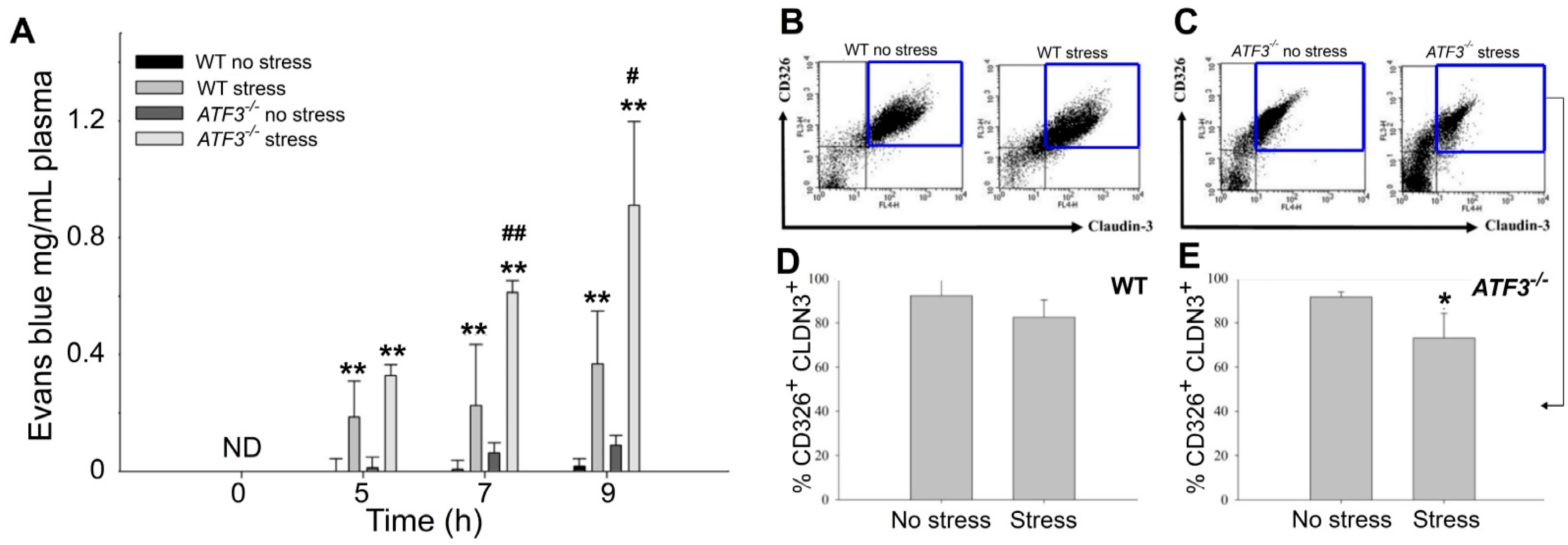 Cells 10 03530 g005 Cells 10 03530 g005