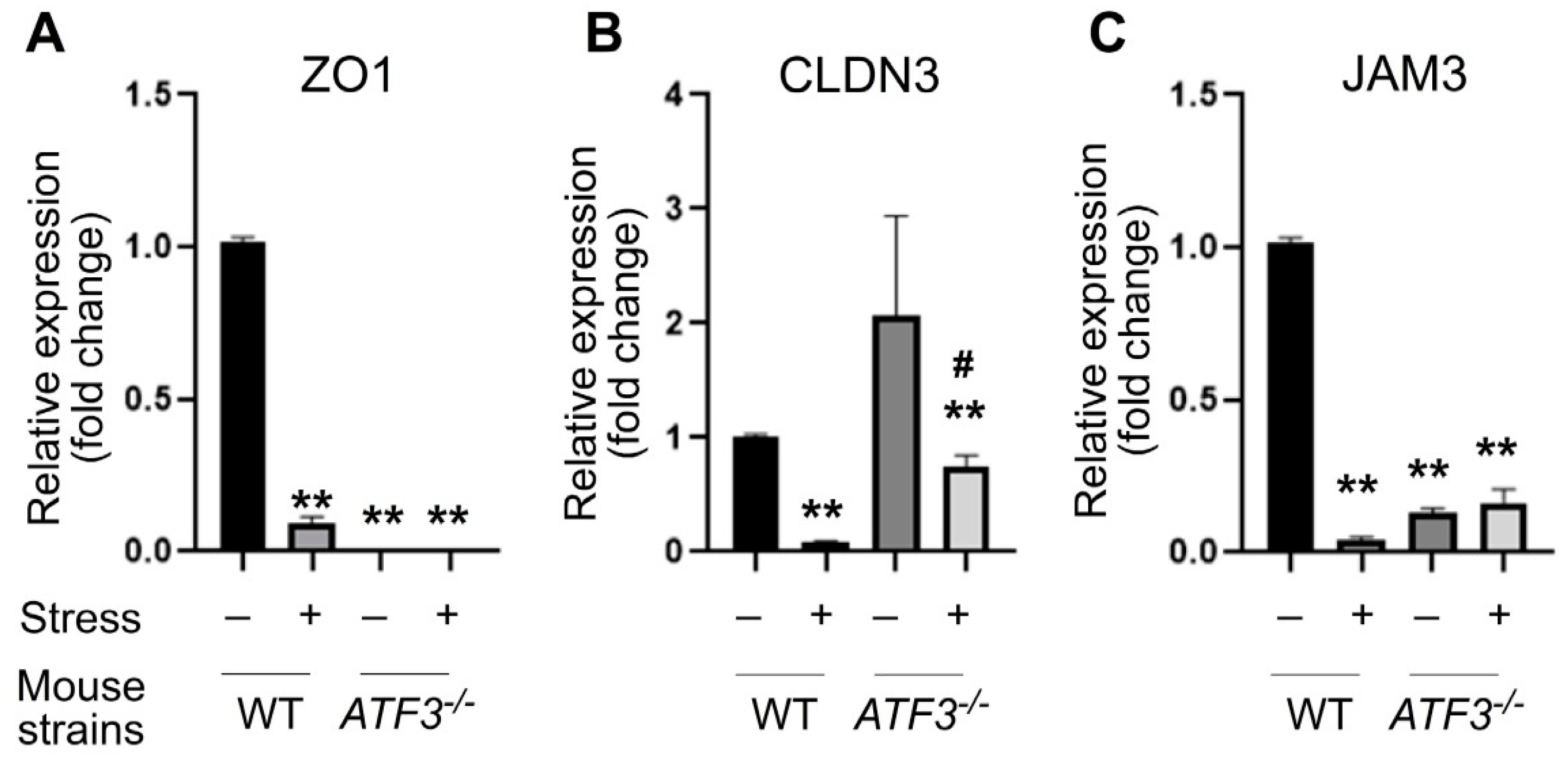 Cells 10 03530 g006 Cells 10 03530 g006