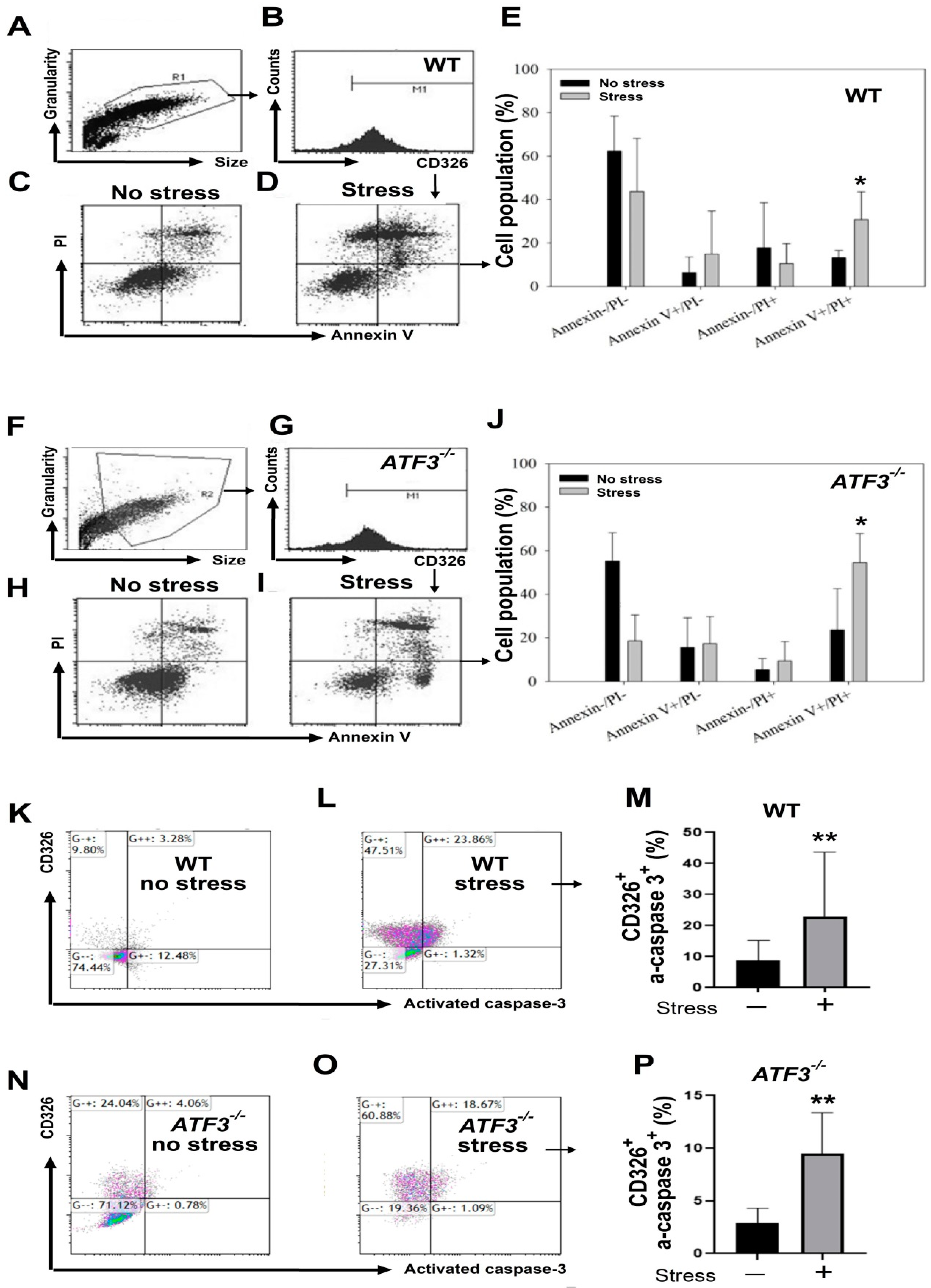 Cells 10 03530 g008 Cells 10 03530 g008