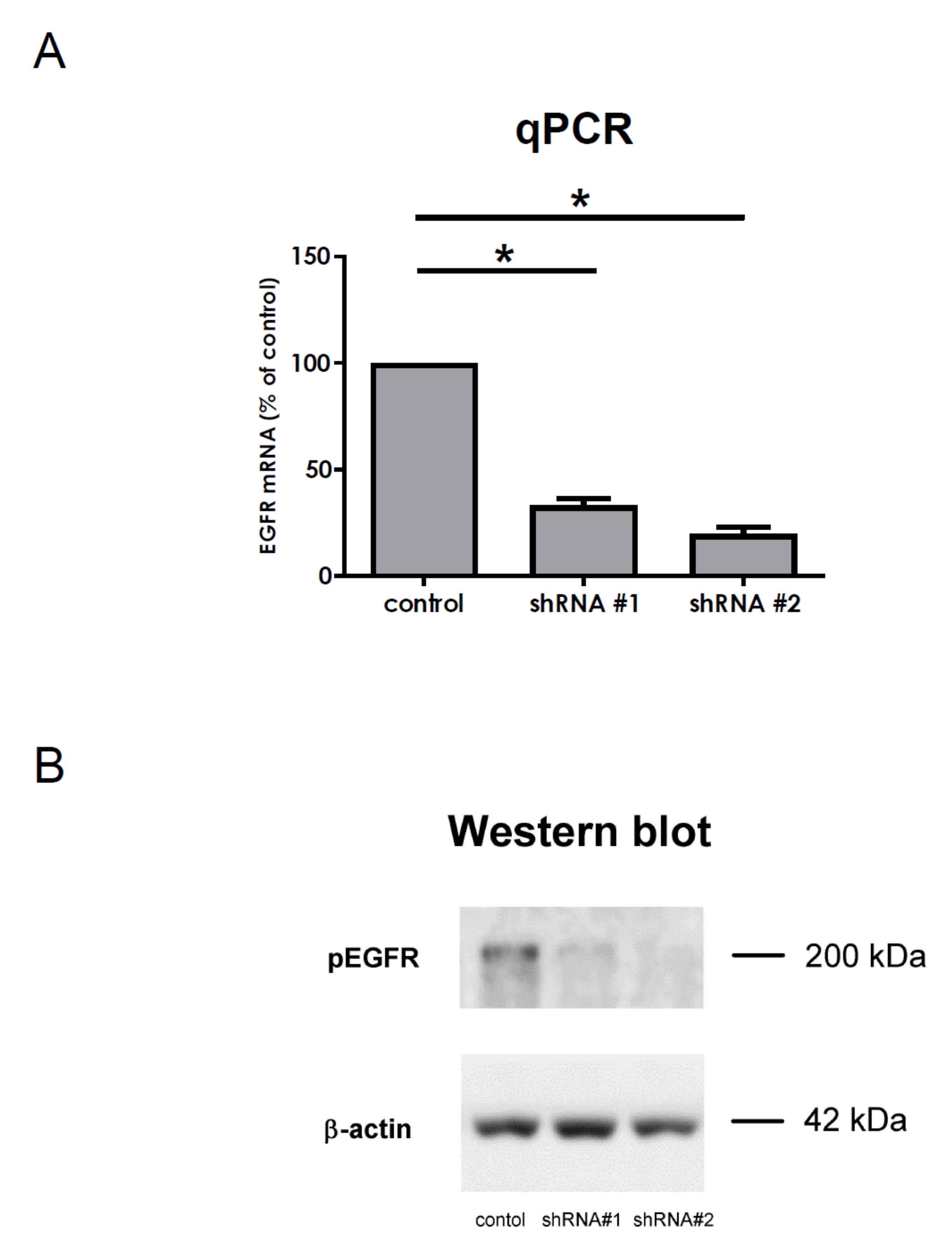 Cells 10 03538 g006 Cells 10 03538 g006