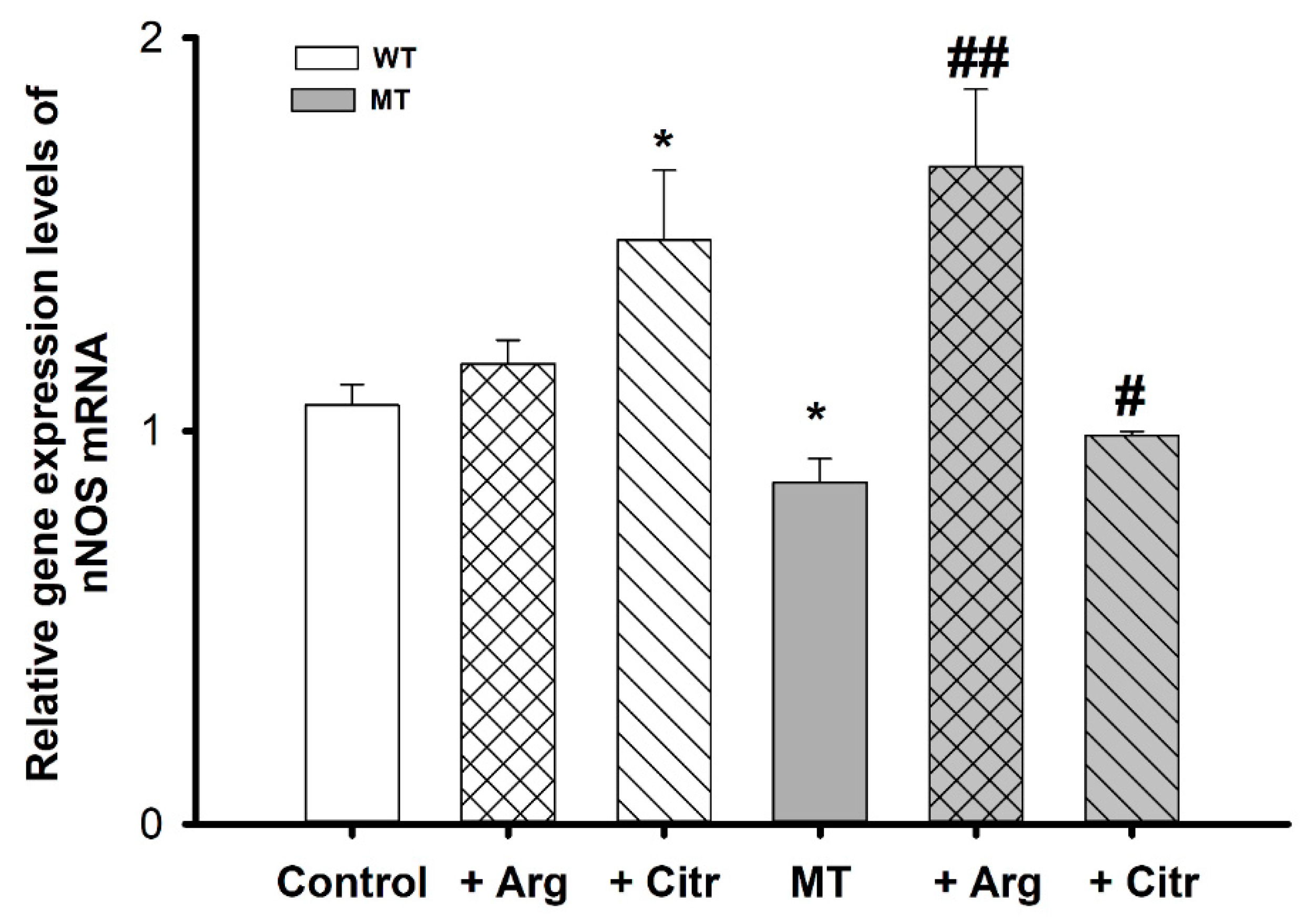 Cells 10 03554 g003 Cells 10 03554 g003