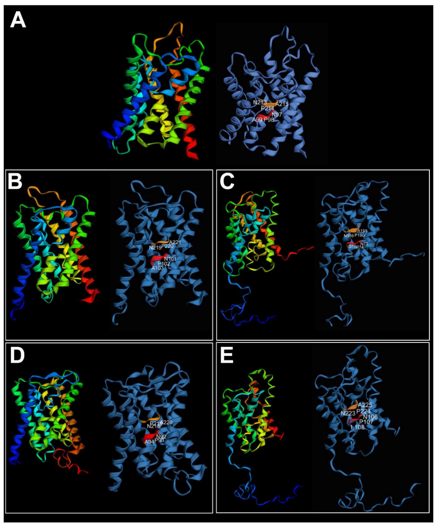 Cells 10 03562 g005 Cells 10 03562 g005