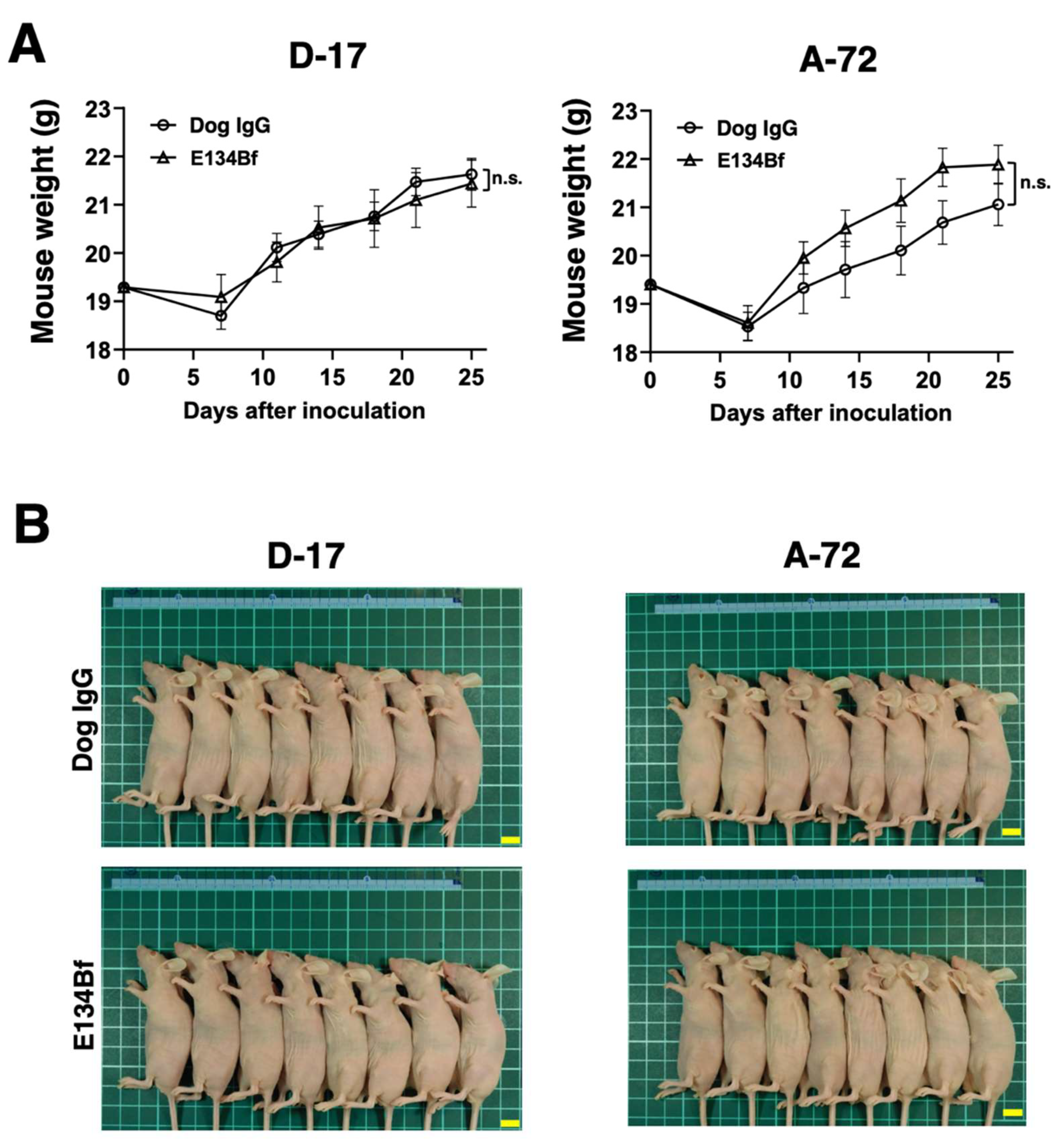 Cells 10 03599 g007 Cells 10 03599 g007