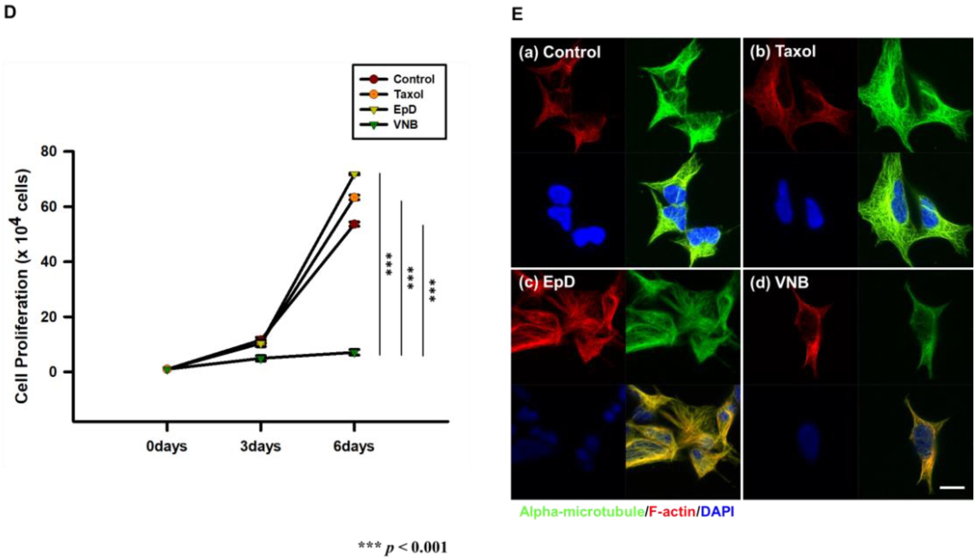 Cells 10 03600 g001b