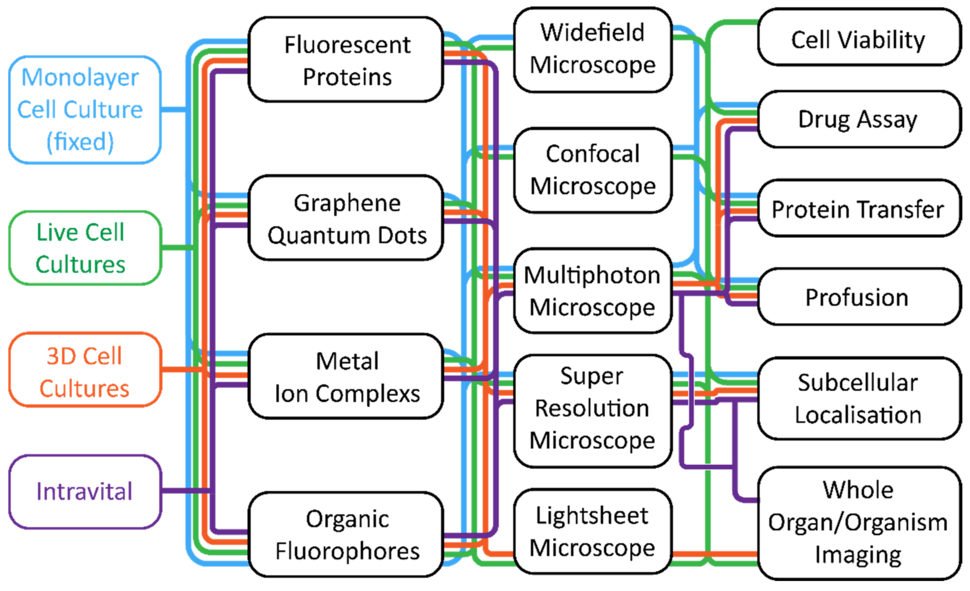 Cells | Free Full-Text | Fluorescence Microscopy&mdash;An Outline of  Hardware, Biological Handling, and Fluorophore Considerations | HTML