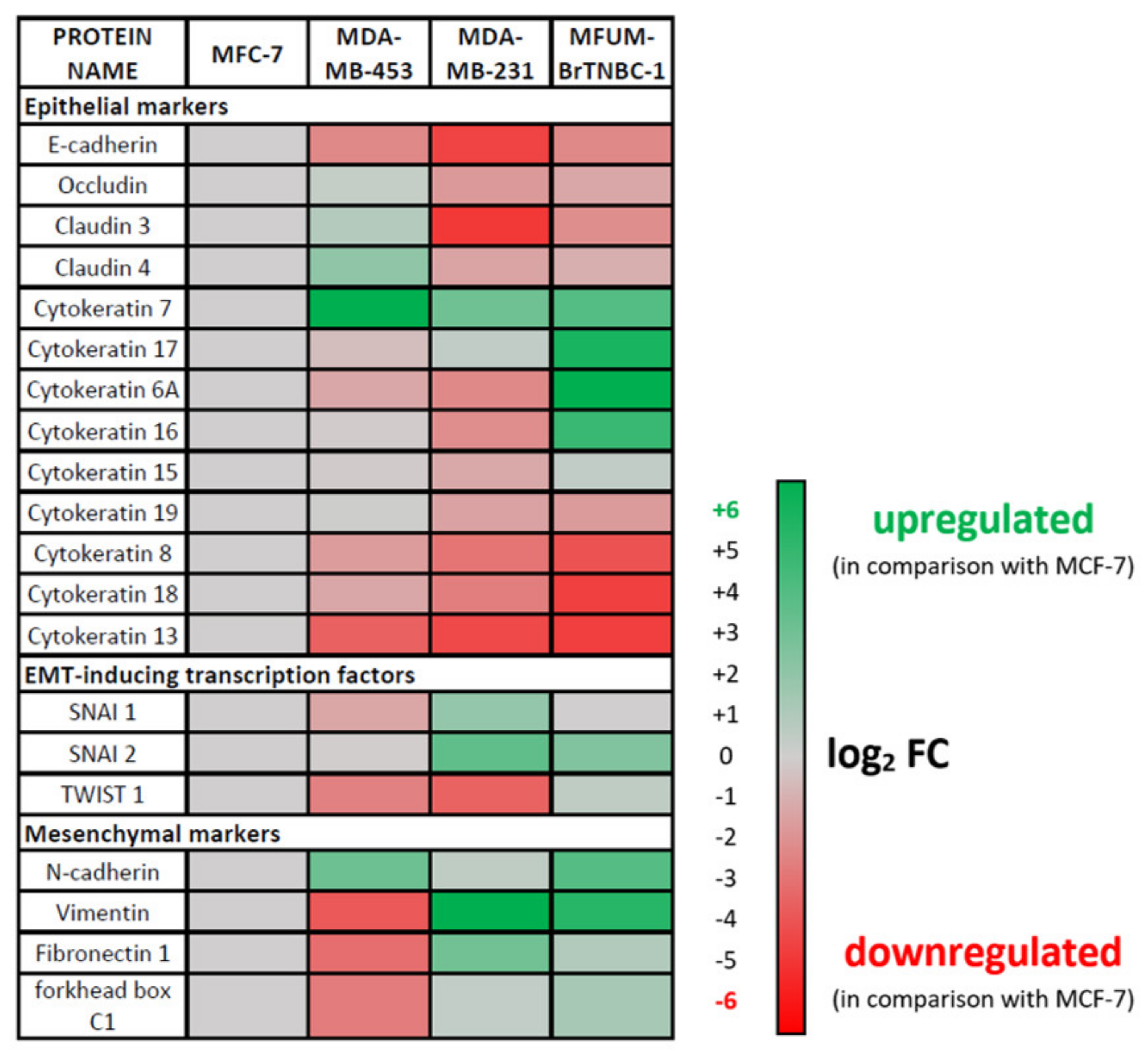 Cells 11 00117 g006 Cells 11 00117 g006