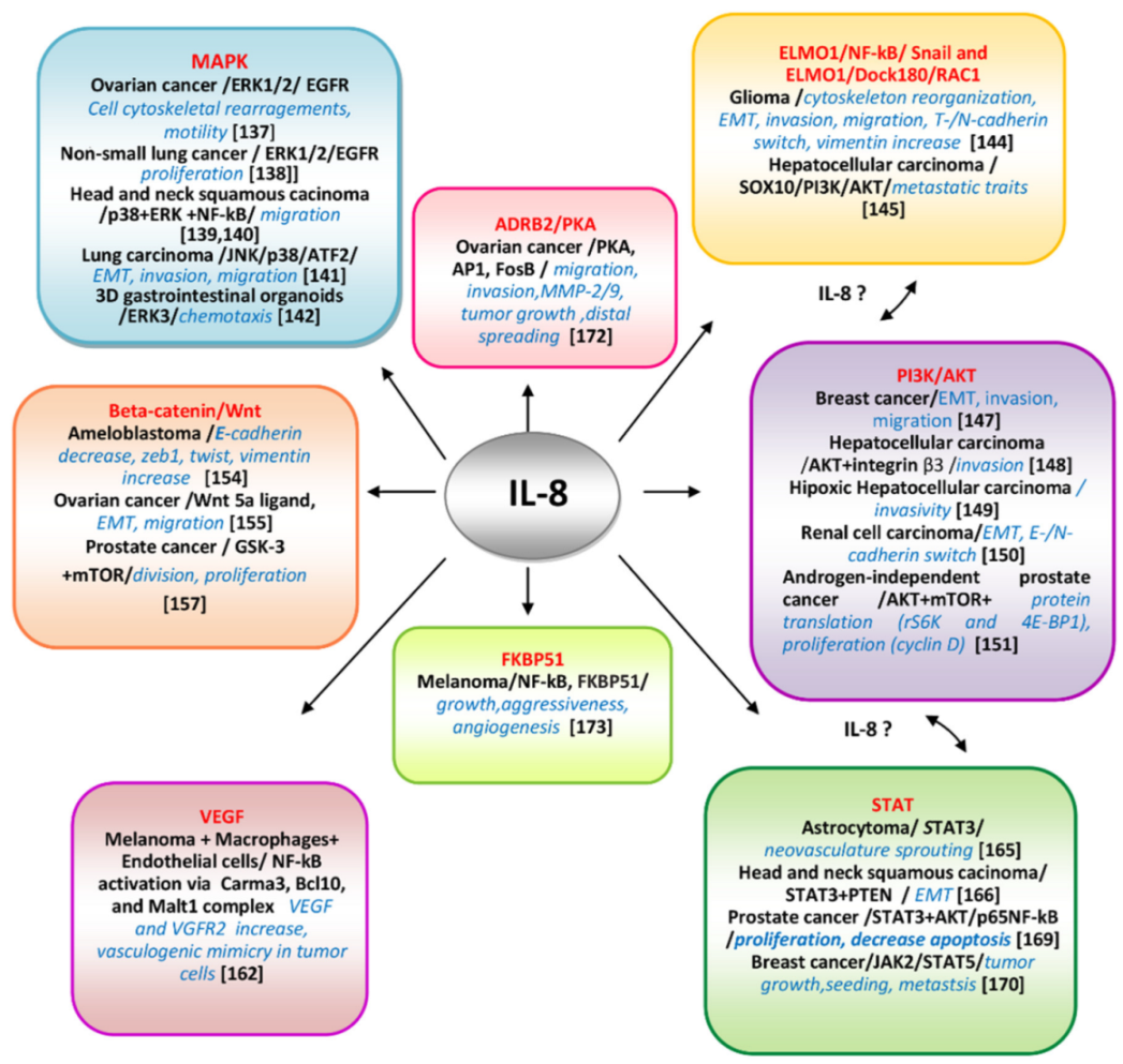 Cells 11 00120 g003 Cells 11 00120 g003