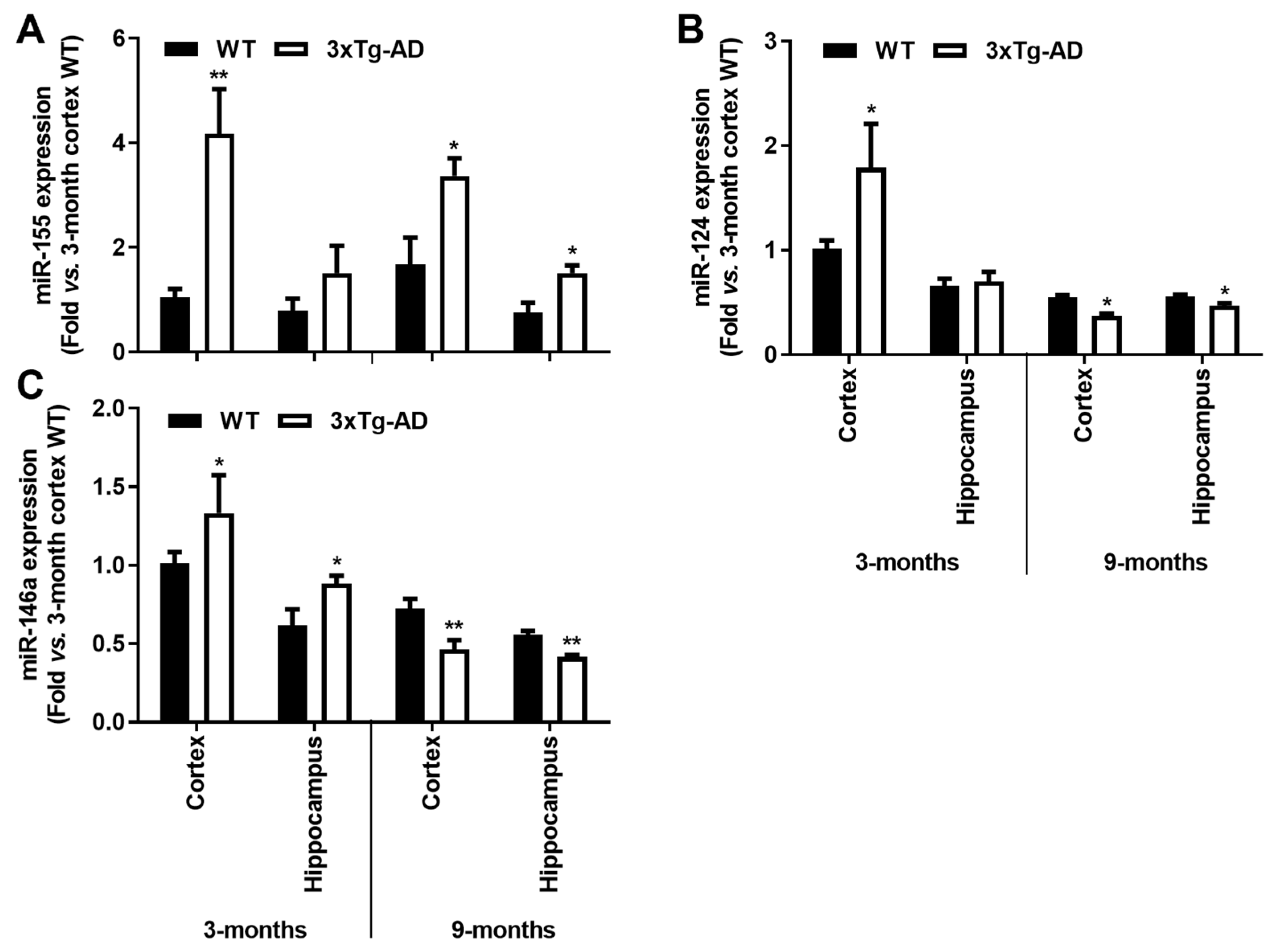 Cells 11 00137 g007 Cells 11 00137 g007