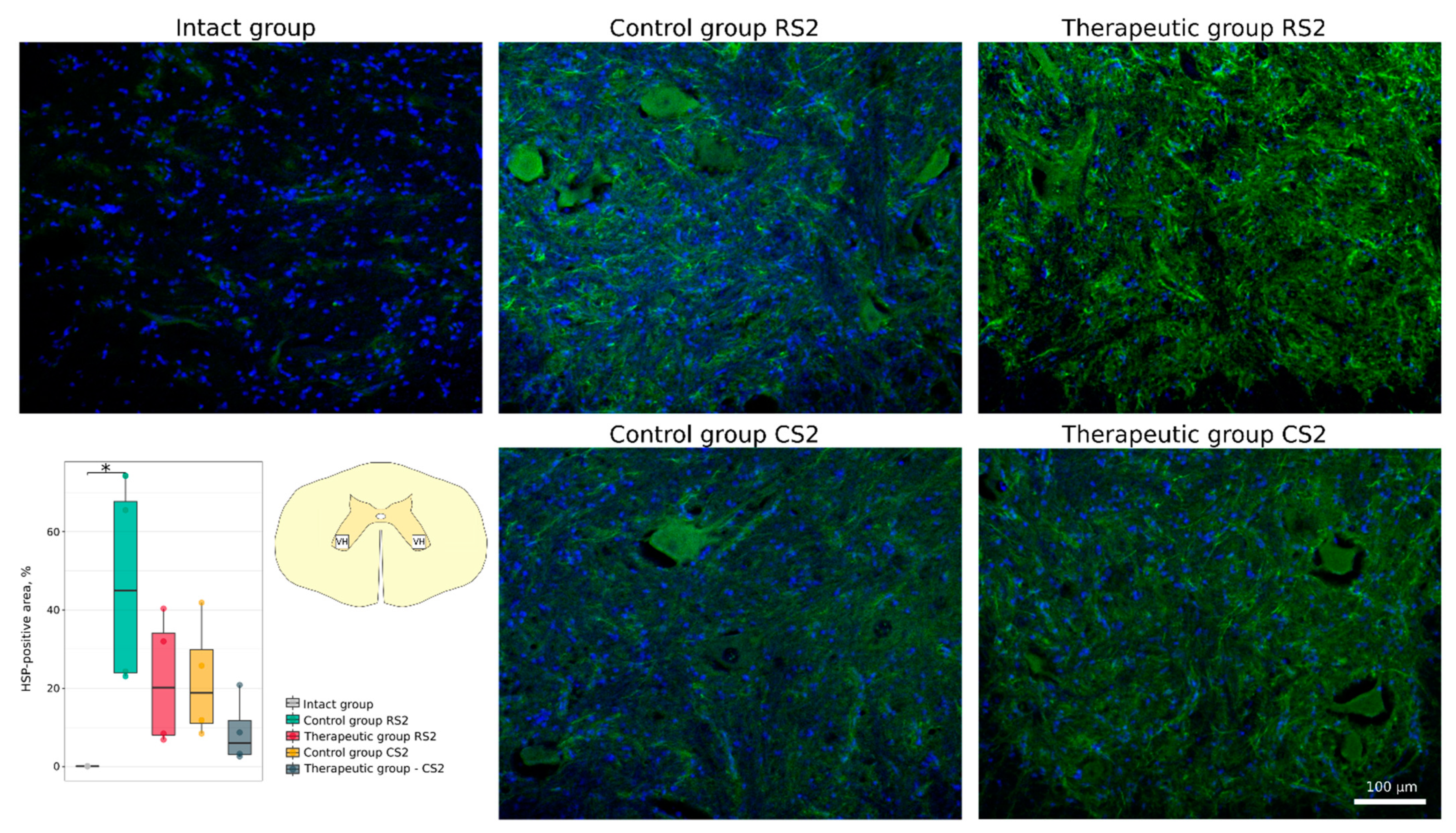 Cells 11 00144 g006 Cells 11 00144 g006