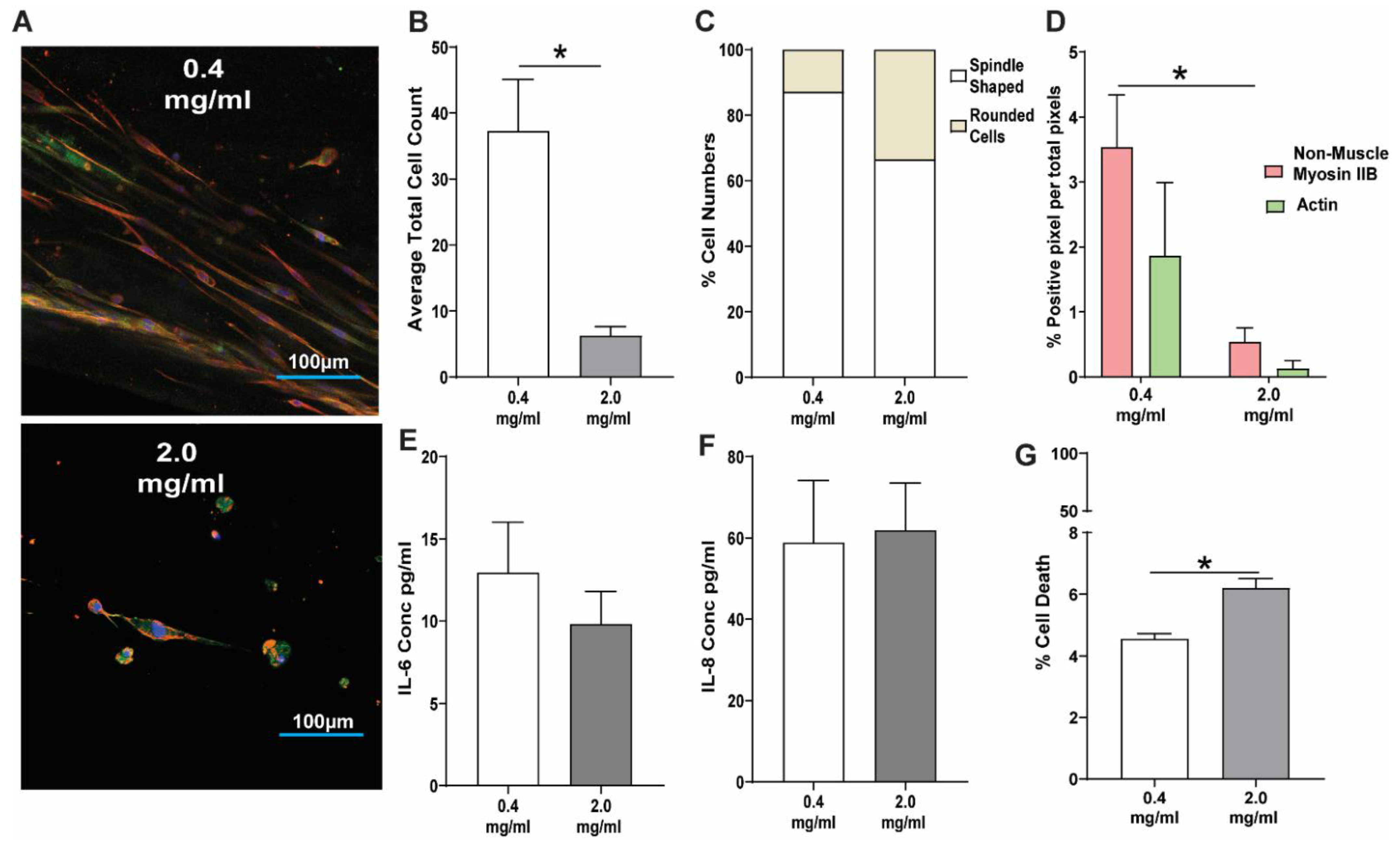 Cells 11 00185 g003 Cells 11 00185 g003