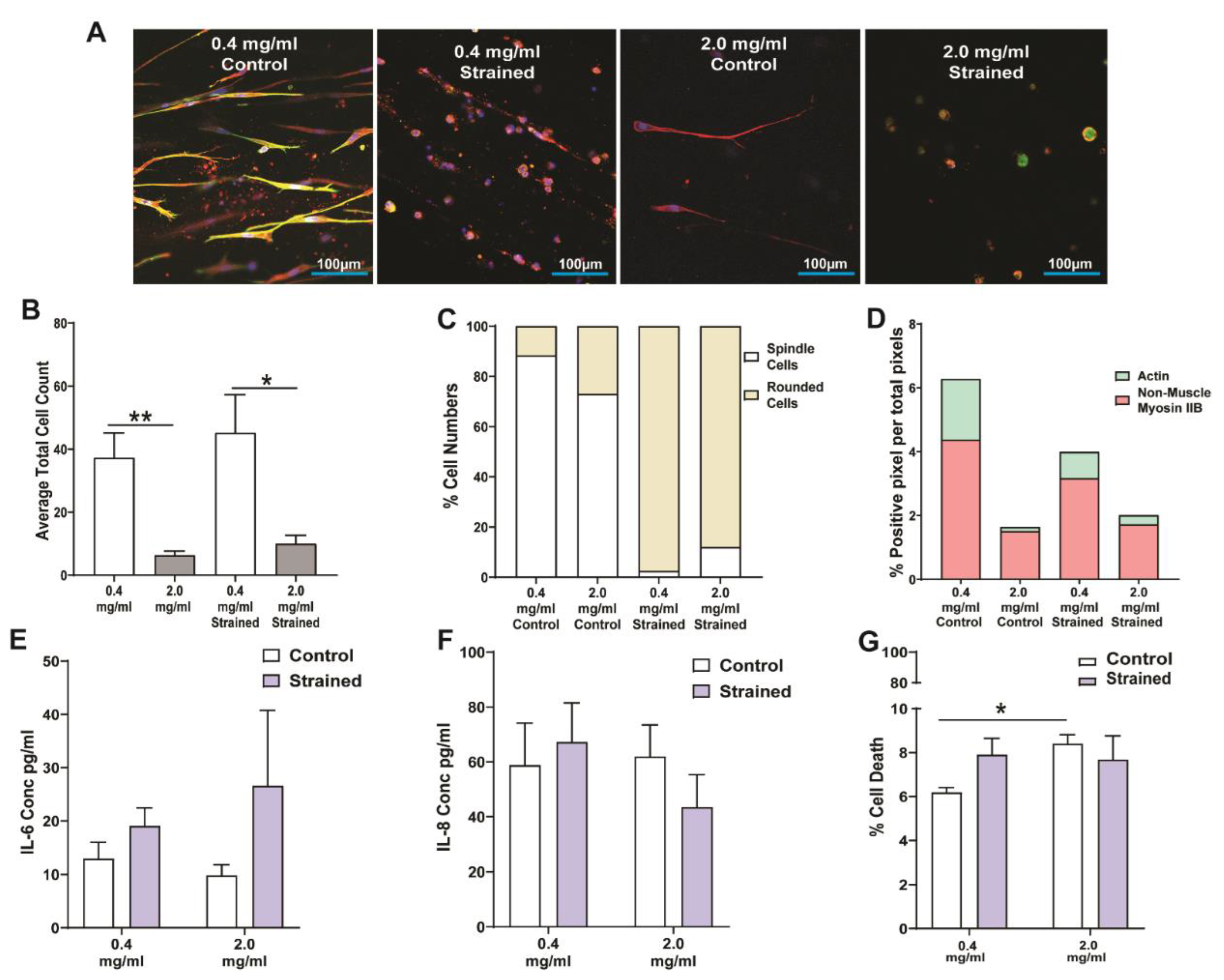 Cells 11 00185 g004 Cells 11 00185 g004
