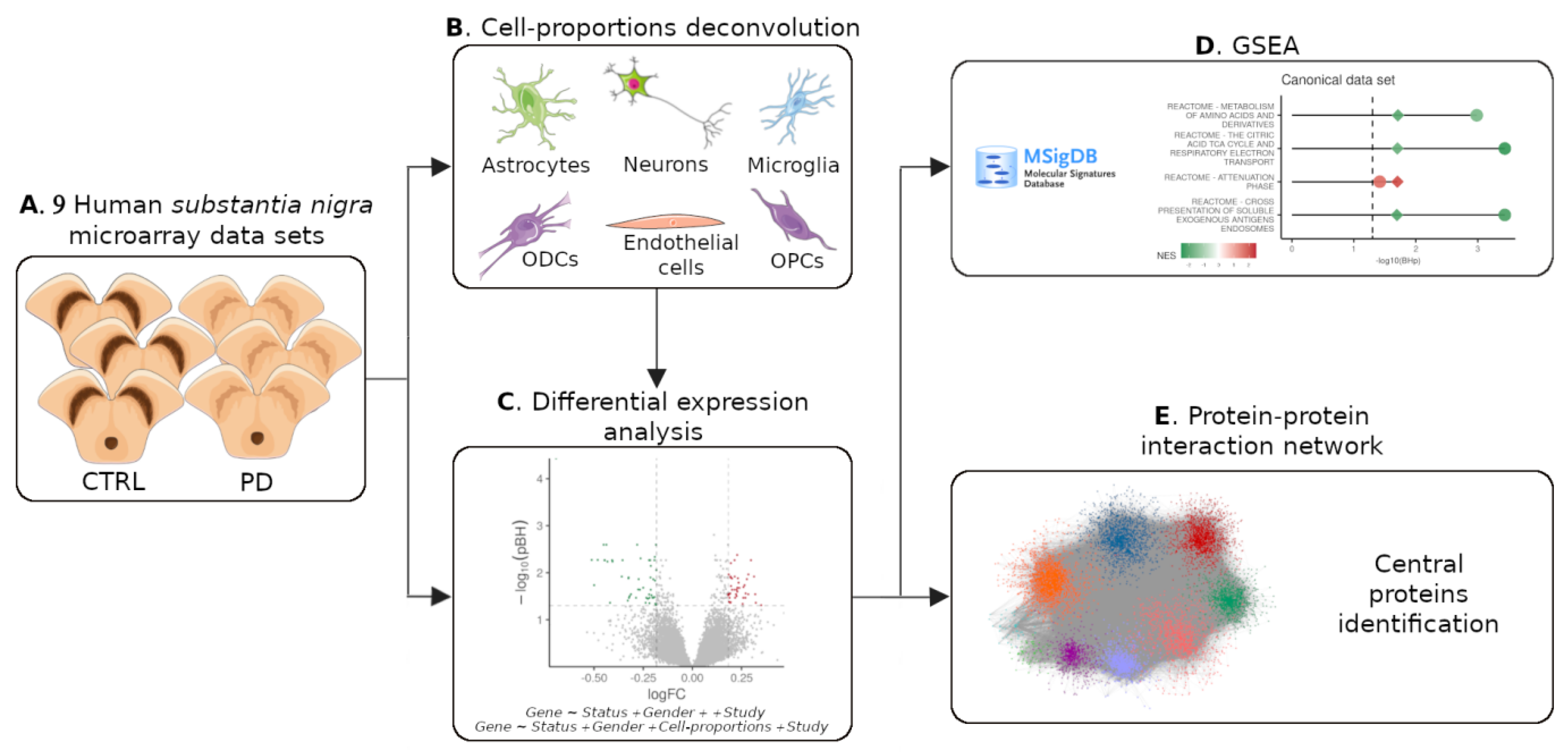 Cells | Free Full-Text | Correcting Differential Gene Expression Analysis  for Cyto&mdash;Architectural Alterations in Substantia Nigra of  Parkinson&rsquo;s Disease Patients Reveals Known and Potential Novel  Disease&mdash;Associated Genes and Pathways ...