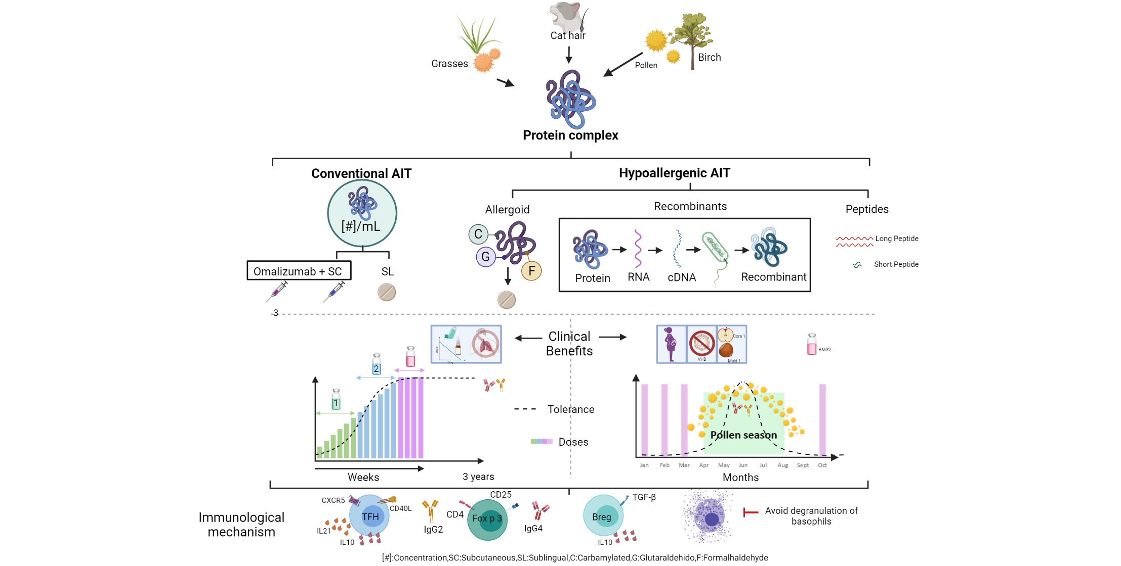 Cells | Free Full-Text | Allergen Immunotherapy: Current and Future Trends  | HTML