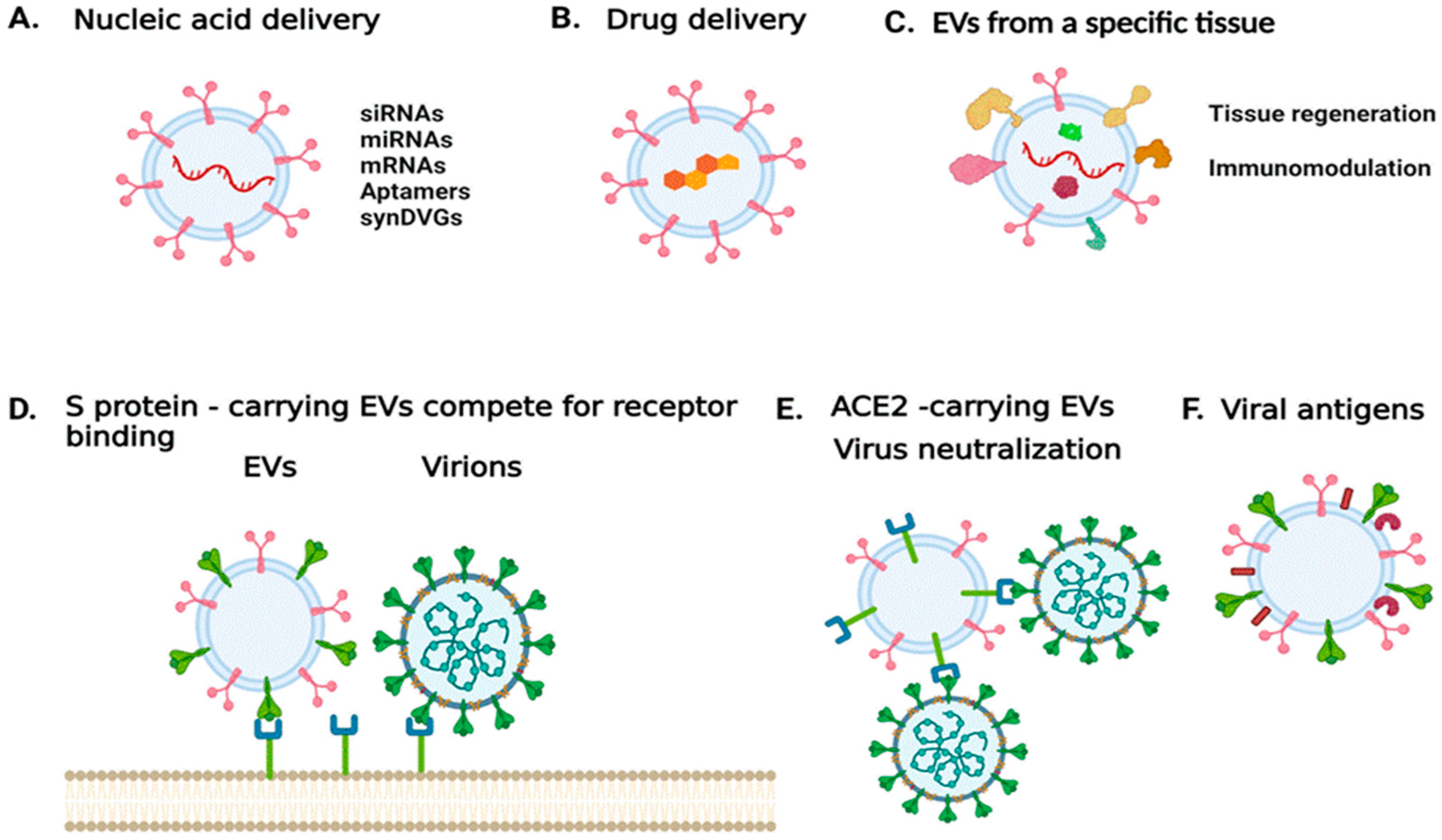 Frontiers  Understanding the Role of SARS-CoV-2 ORF3a in Viral