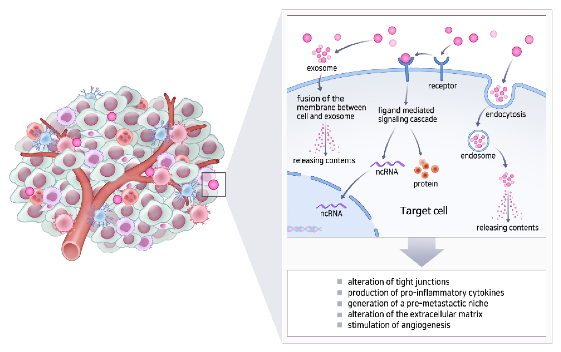 Cells | Free Full-Text | Exosome as a Delivery Vehicle for Cancer Therapy