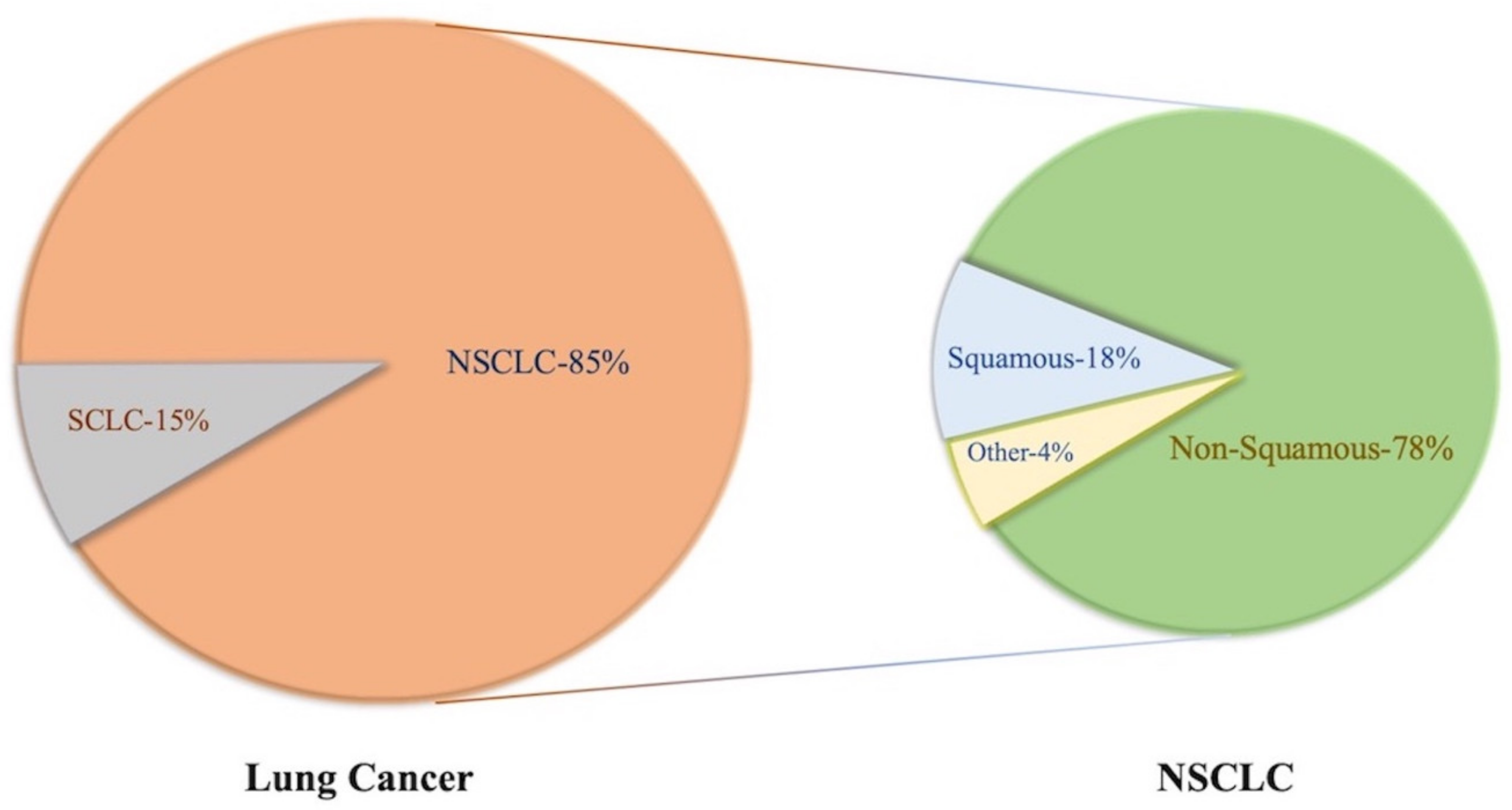 Cells | Free Full-Text | Immune Checkpoint Inhibitors in Non-Small Cell  Lung Cancer: Progress, Challenges, and Prospects