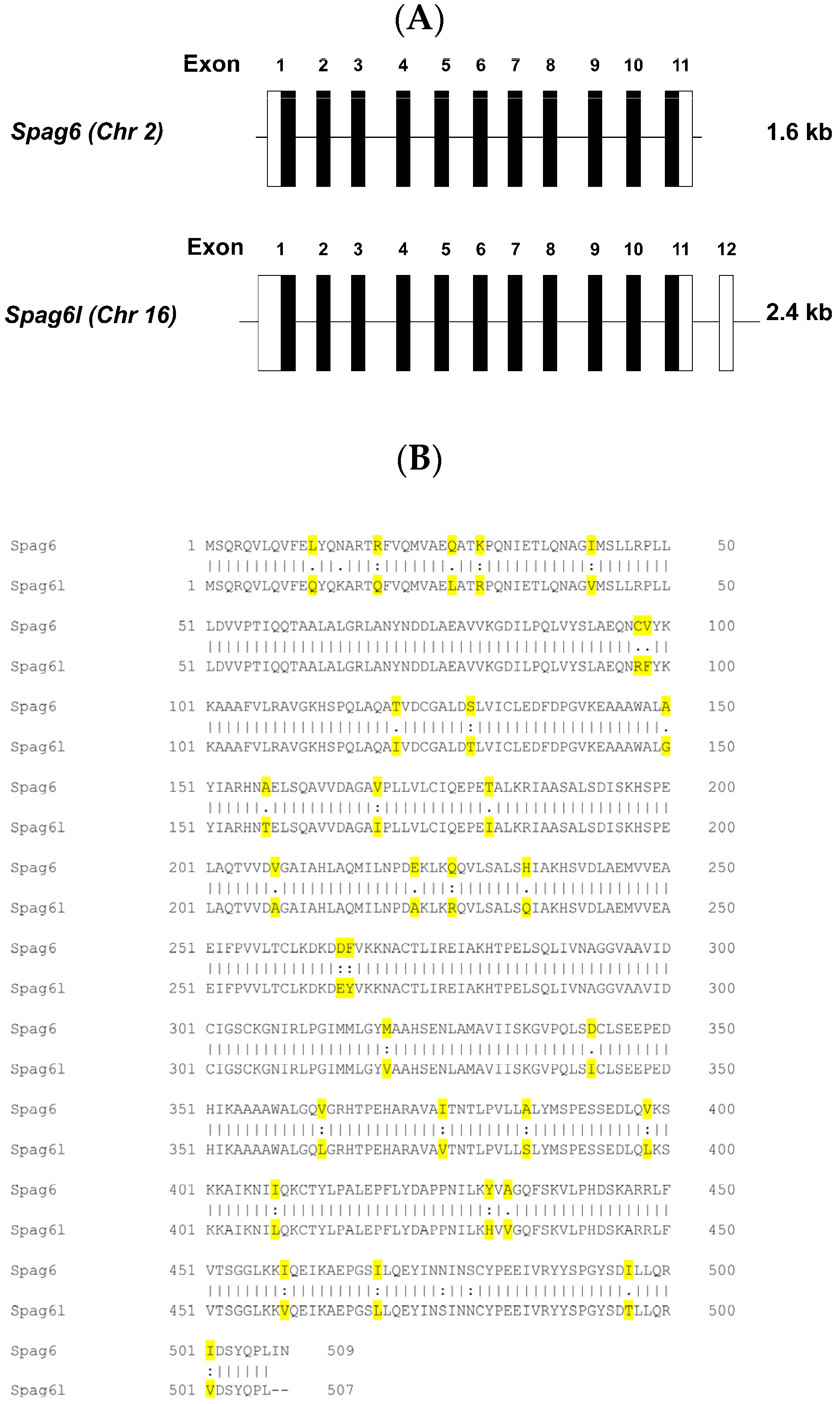Cells 11 00336 g001 Cells 11 00336 g001