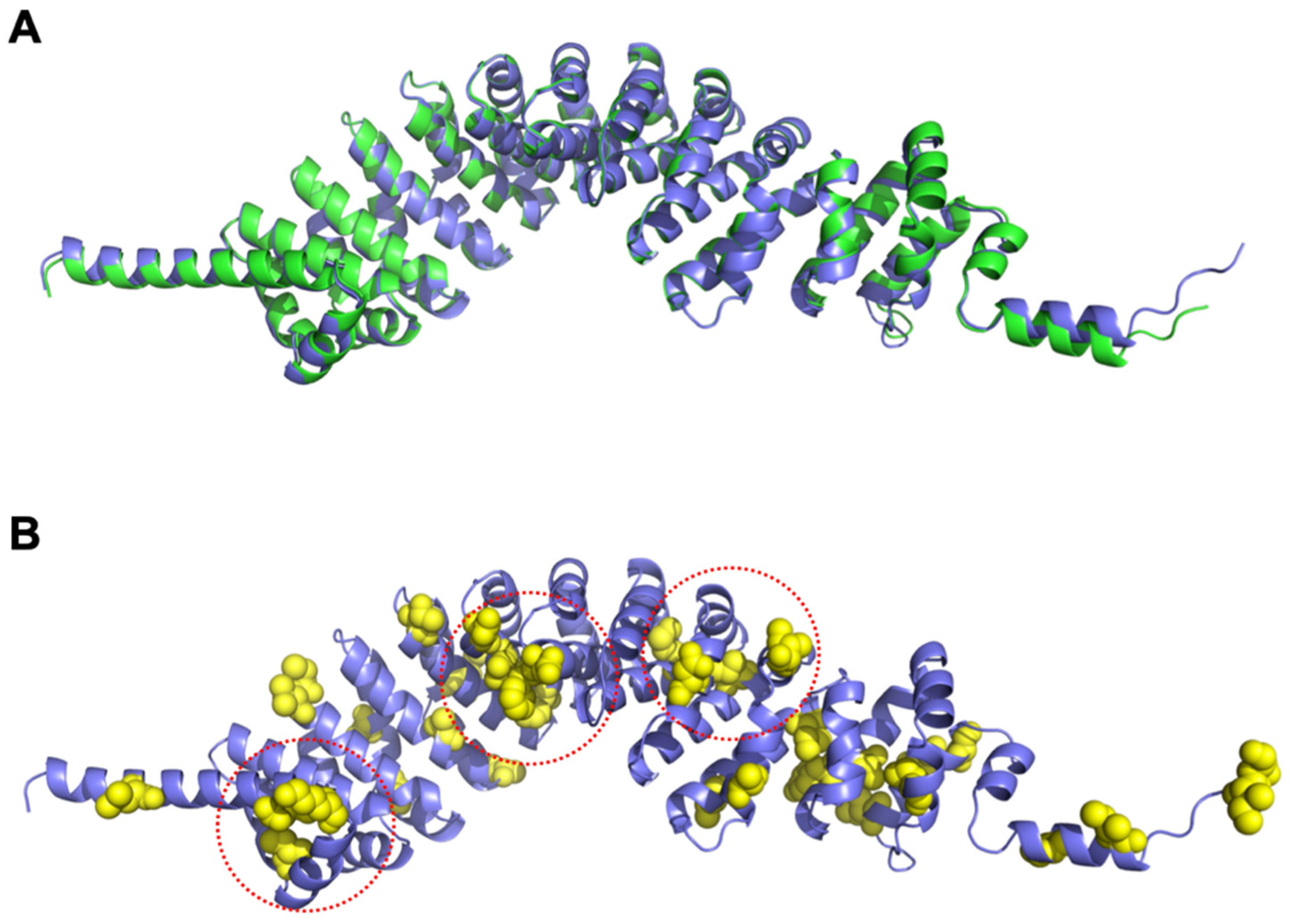 Cells 11 00336 g008 Cells 11 00336 g008