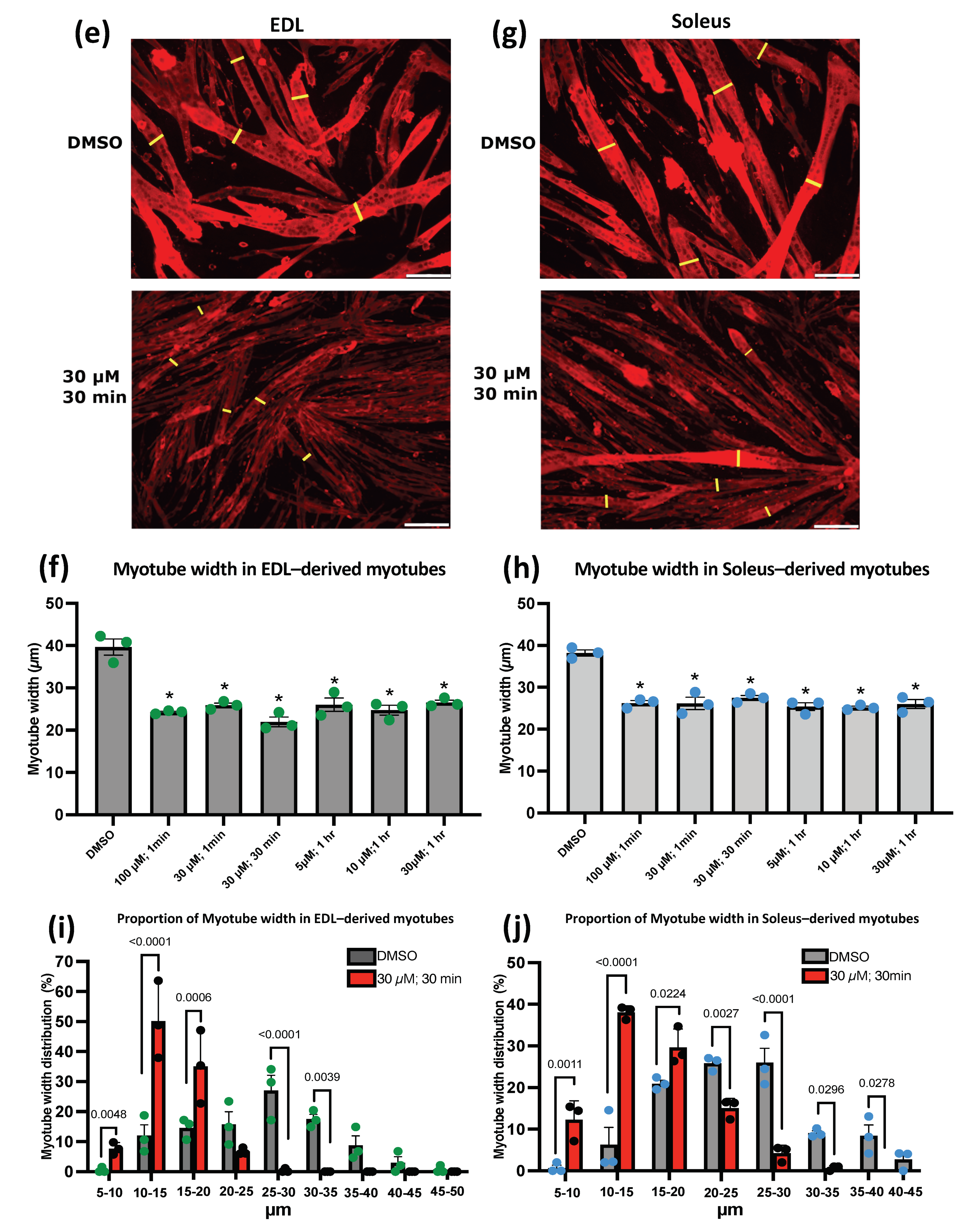 Cells 11 00393 g004b