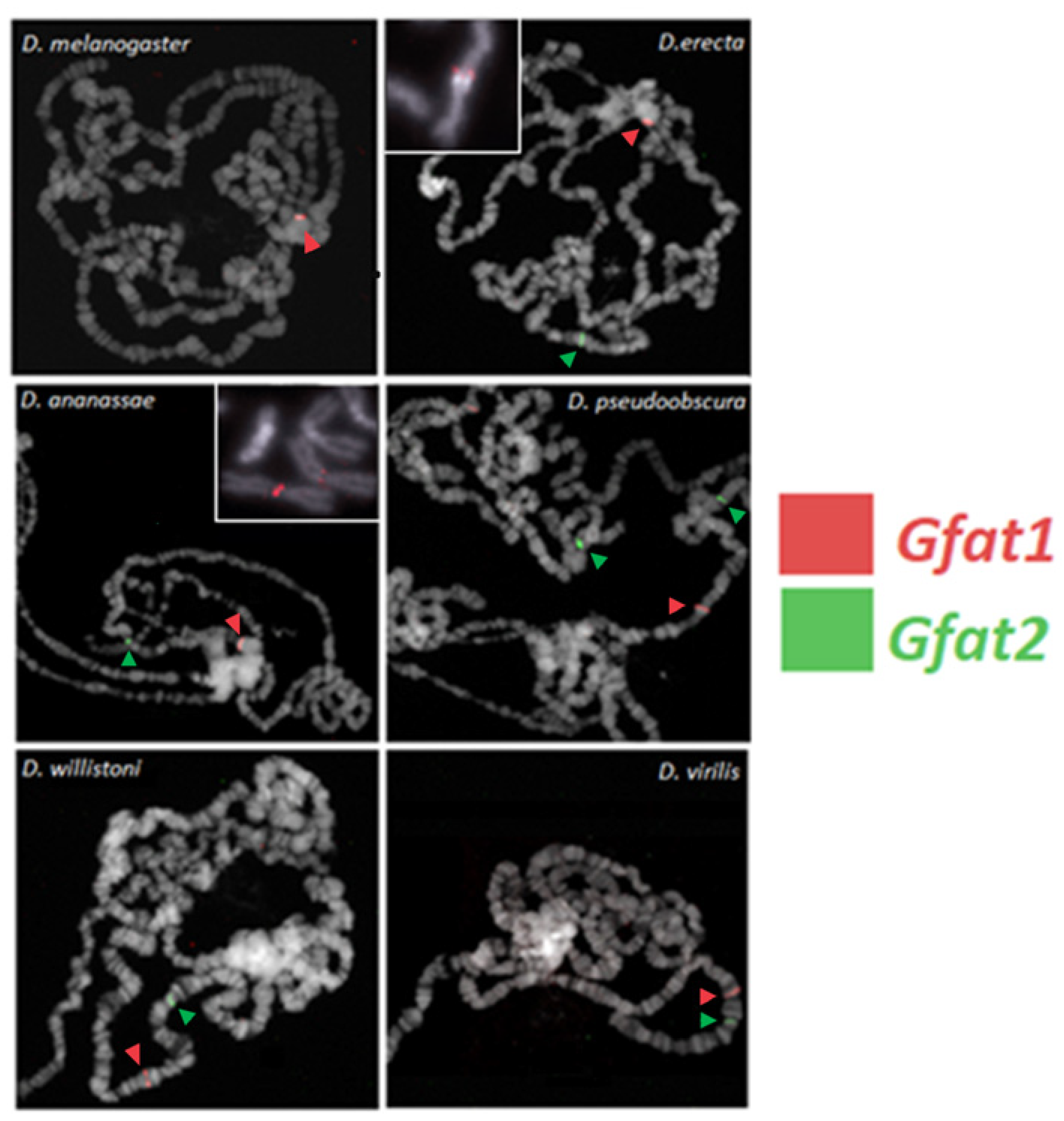 Cells 11 00448 g007 Cells 11 00448 g007