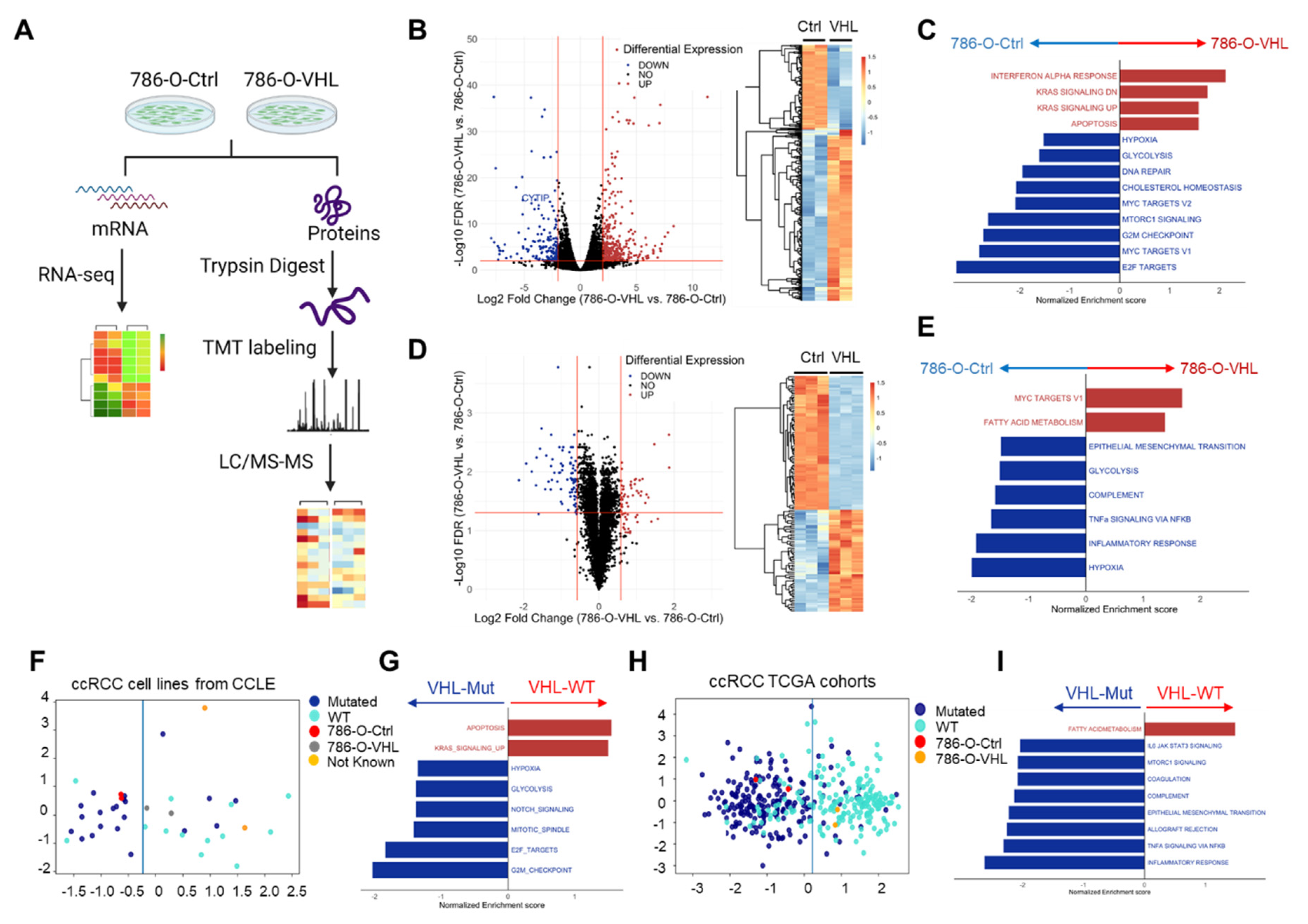 Cells 11 00472 g002 Cells 11 00472 g002