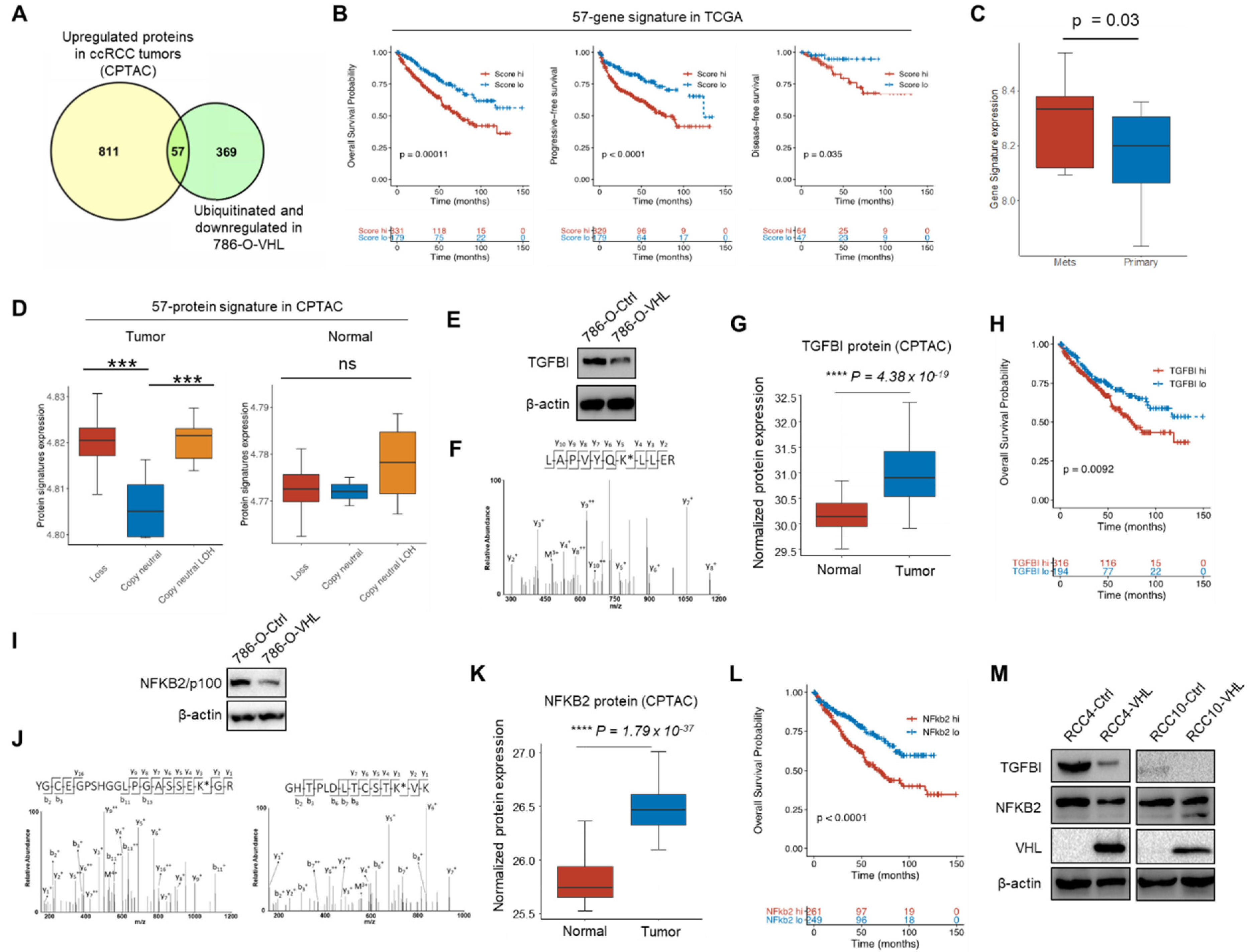 Cells 11 00472 g005 Cells 11 00472 g005