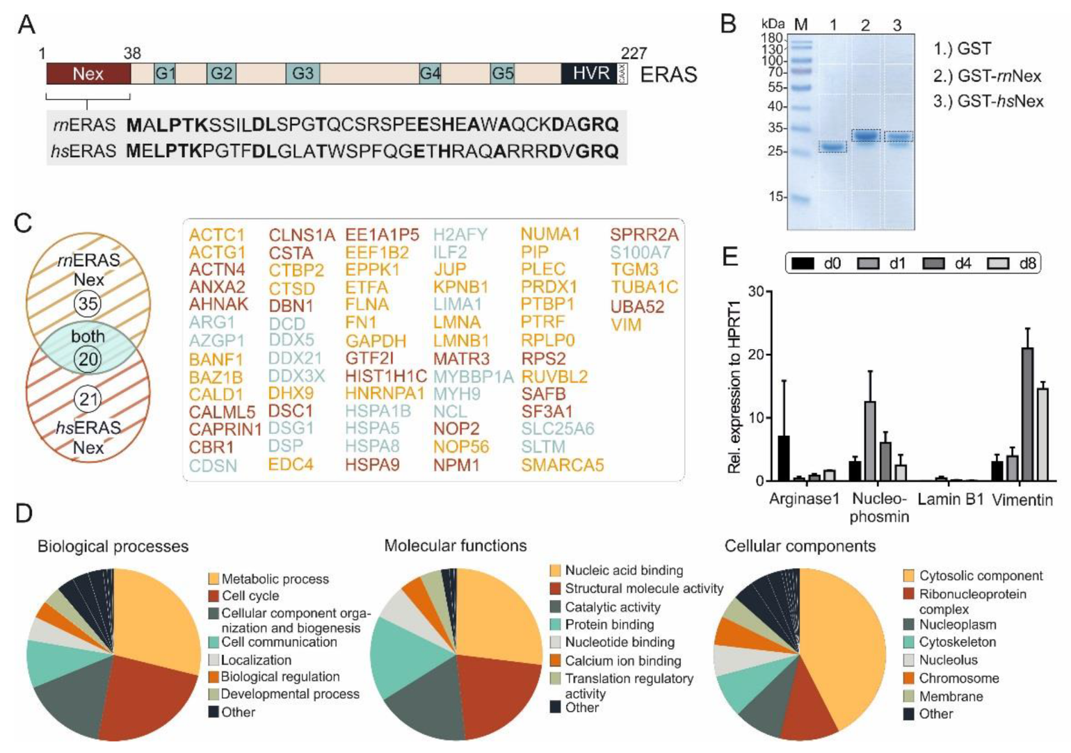 Cells 11 00508 g001 Cells 11 00508 g001