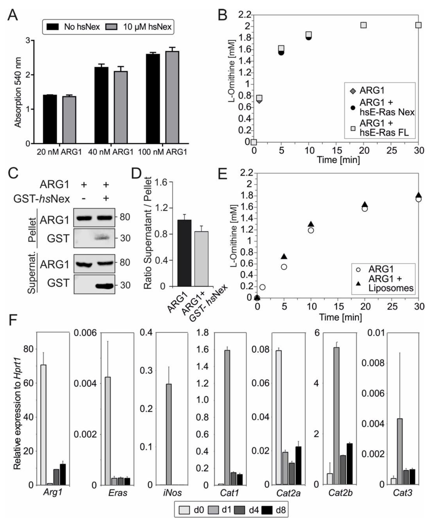 Cells 11 00508 g004 Cells 11 00508 g004