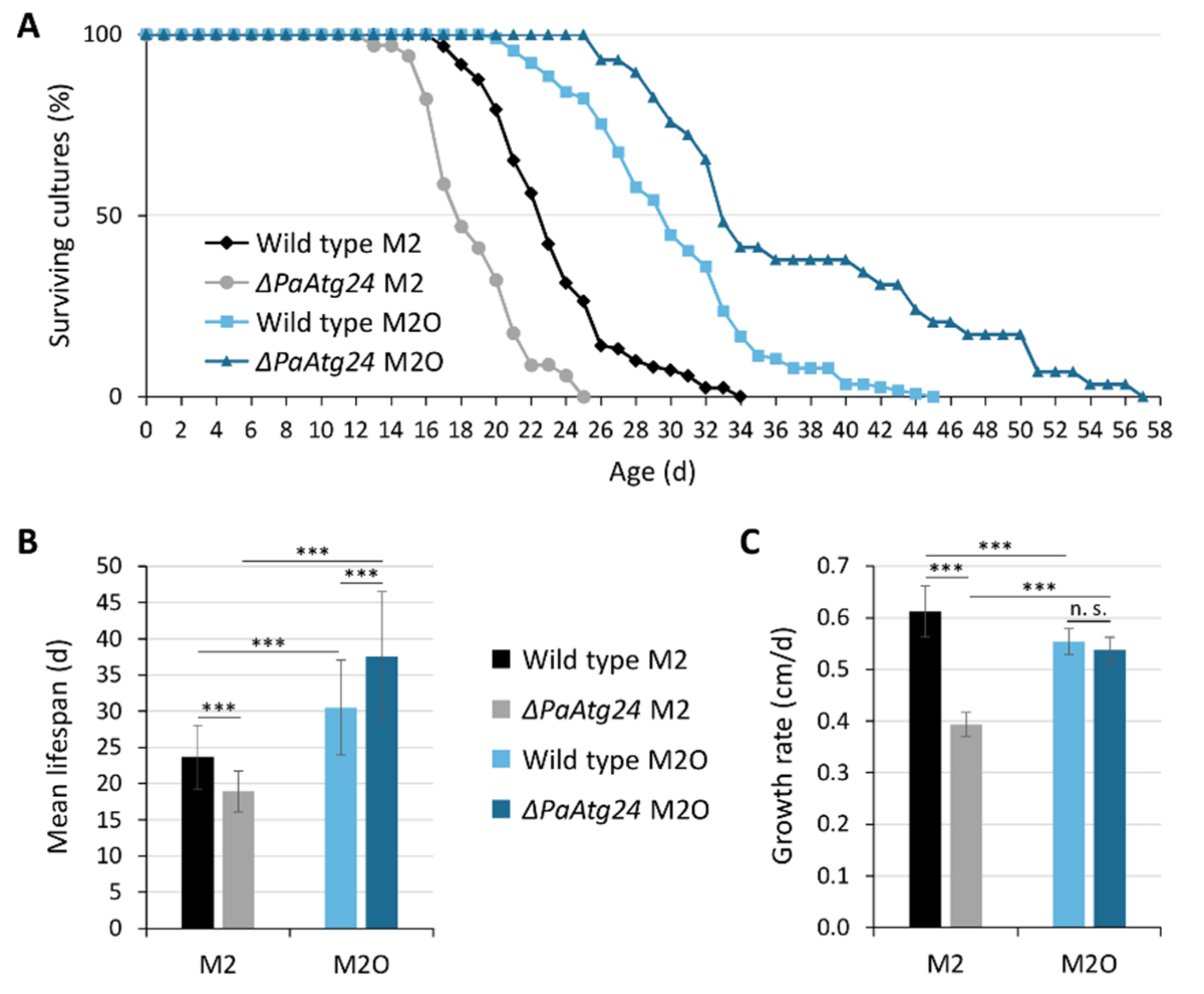 Cells 11 00519 g002 Cells 11 00519 g002