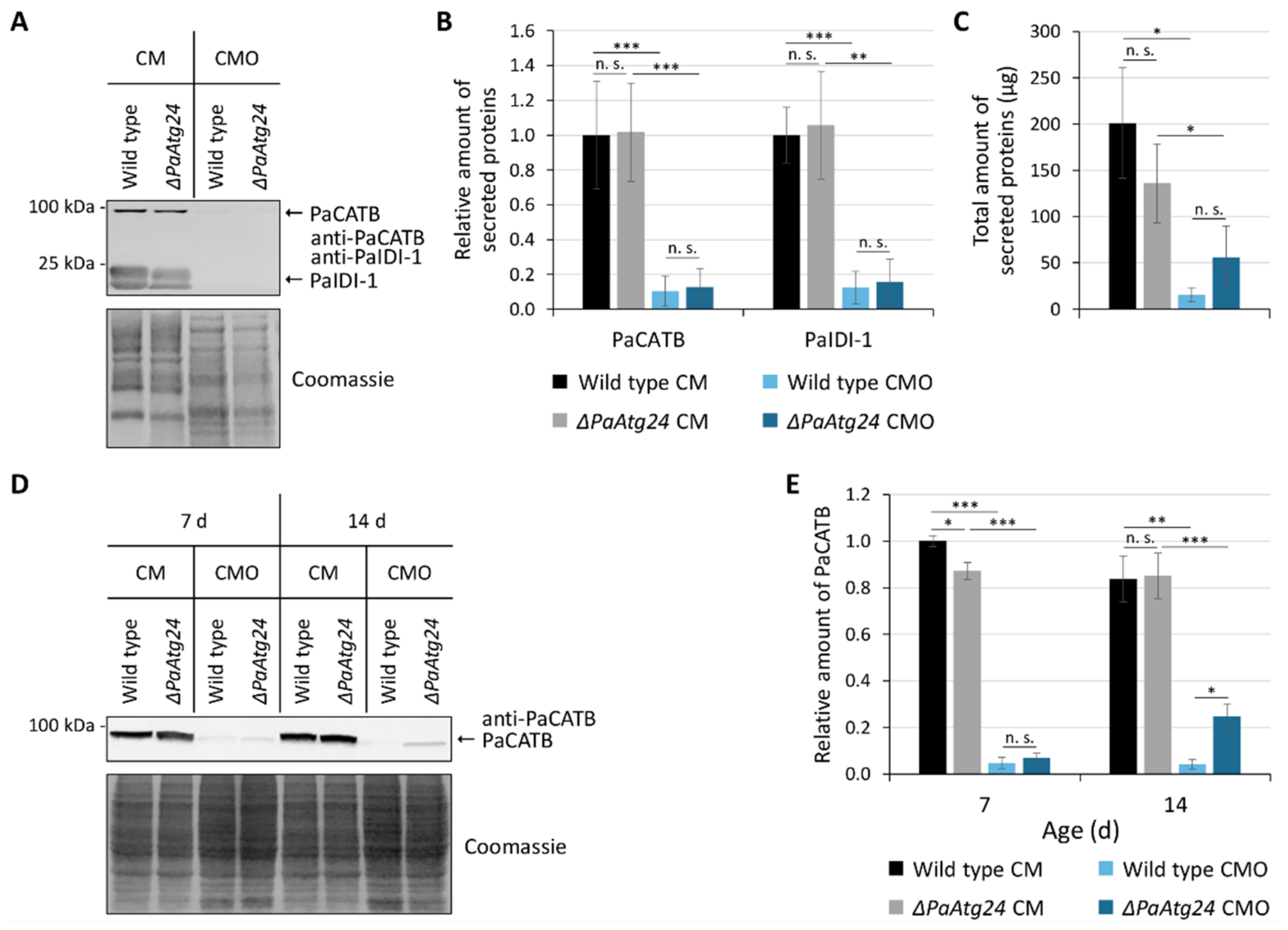Cells 11 00519 g010 Cells 11 00519 g010