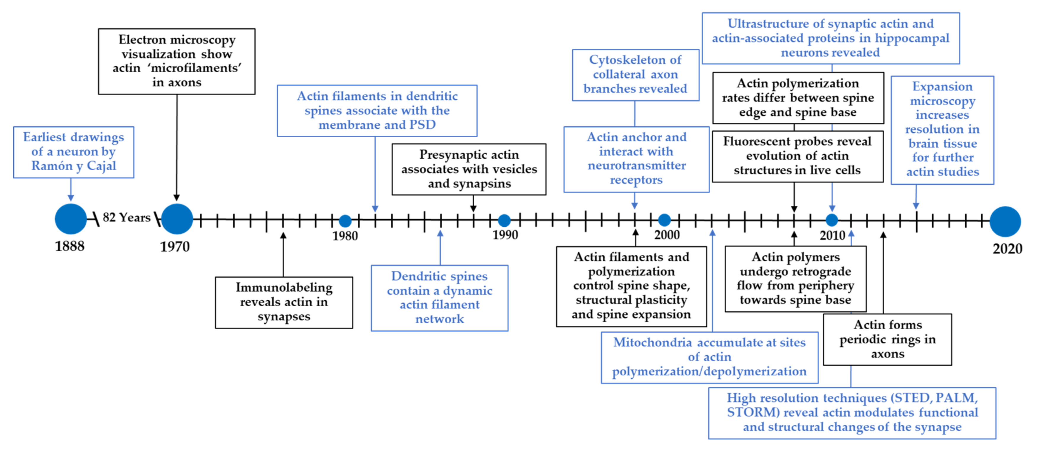 Cells 11 00603 g001 Cells 11 00603 g001