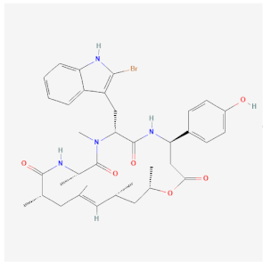 Cells 11 00603 i003 Cells 11 00603 i003