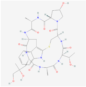 Cells 11 00603 i006 Cells 11 00603 i006