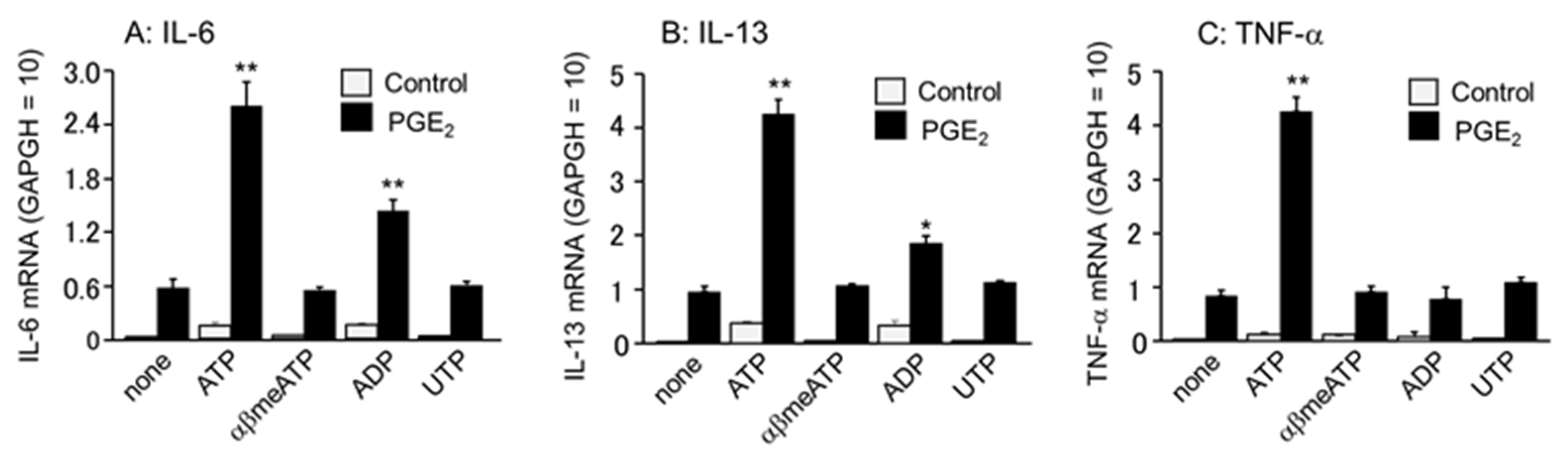 Cells 11 00616 g005 Cells 11 00616 g005